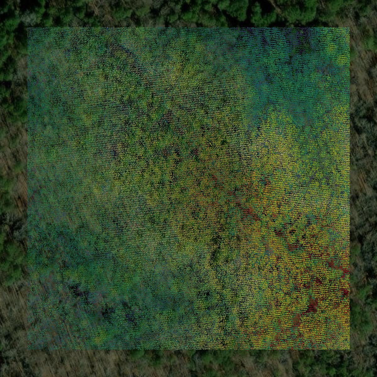 This image shows a LiDAR point cloud in Tishomingo County created using GIS data in Equator.