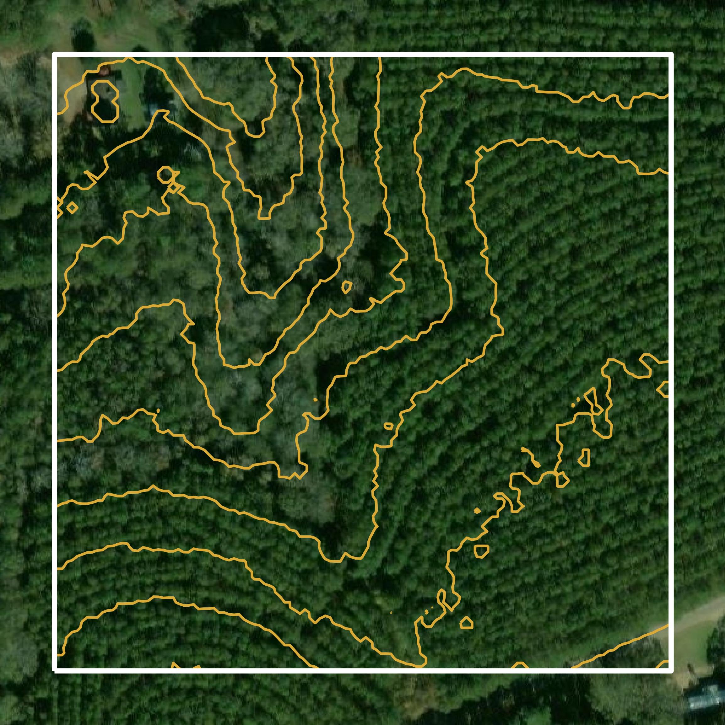 This image shows a contour map in Walthall County created using GIS data in Equator.