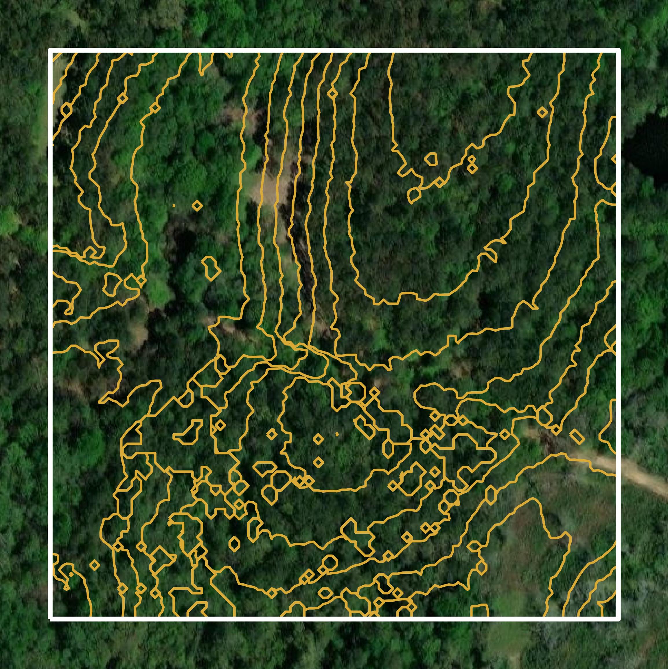 This image shows a contour map in Walthall County created using GIS data in Equator.