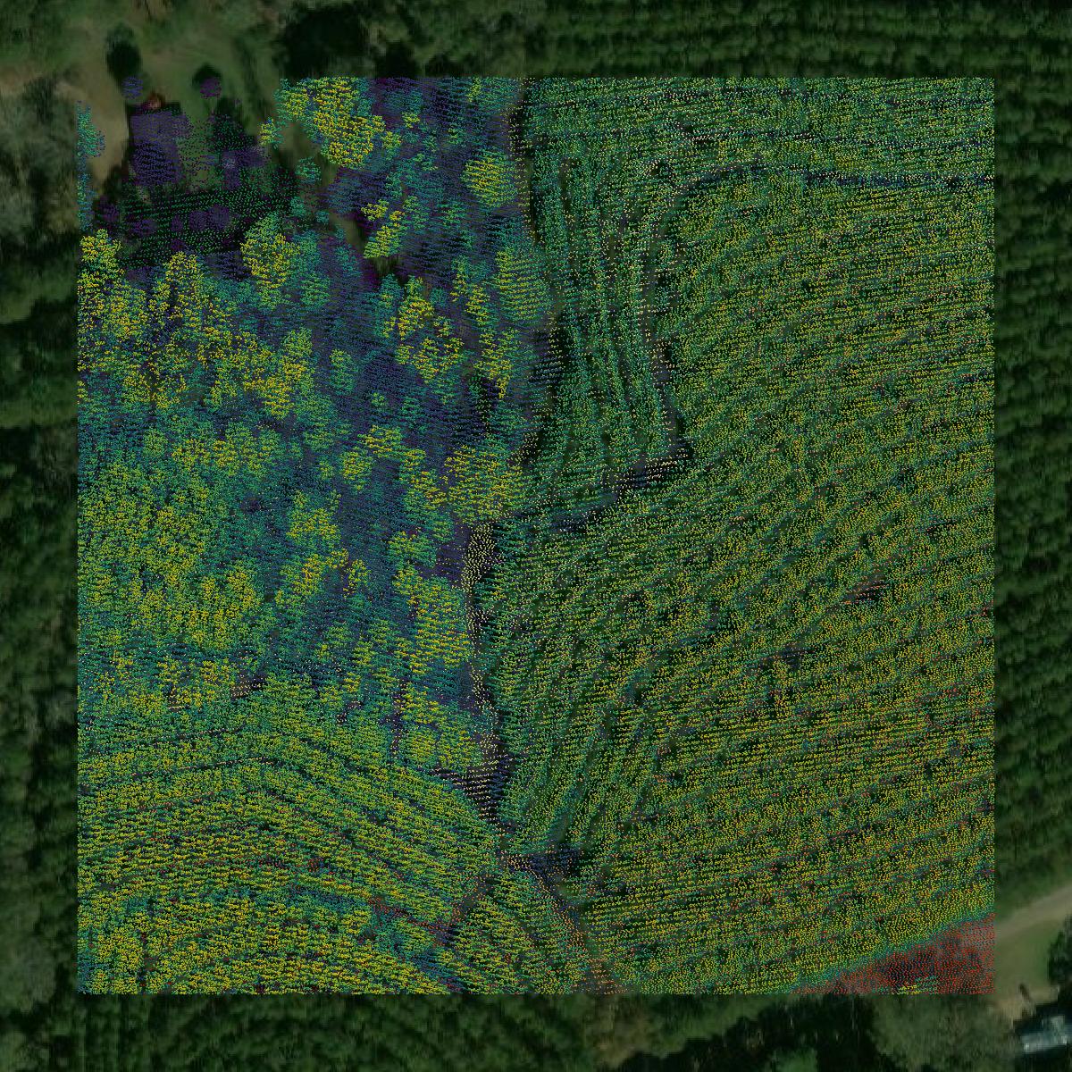 This image shows a LiDAR point cloud in Walthall County created using GIS data in Equator.