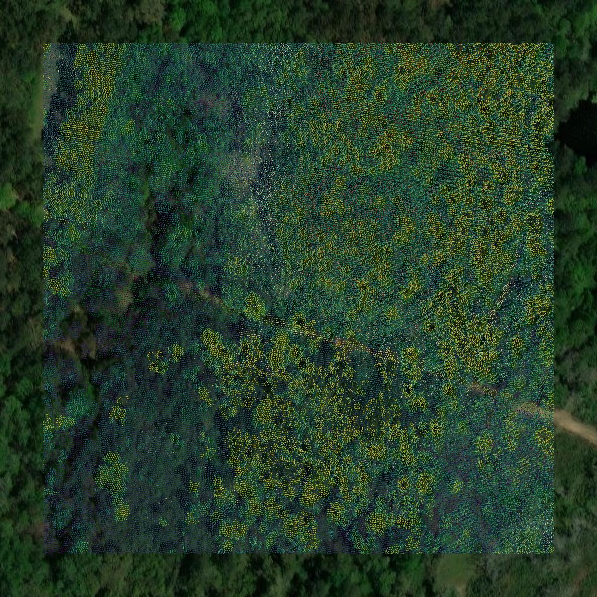 This image shows a LiDAR point cloud in Walthall County created using GIS data in Equator.
