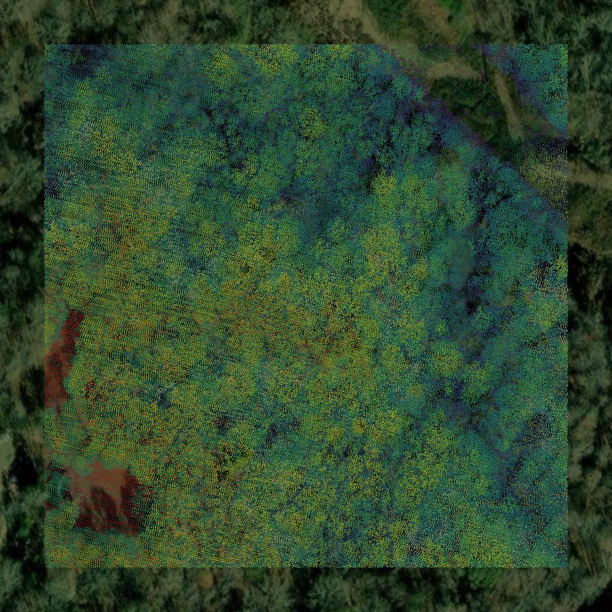 This image shows a LiDAR point cloud in Warren County created using GIS data in Equator.