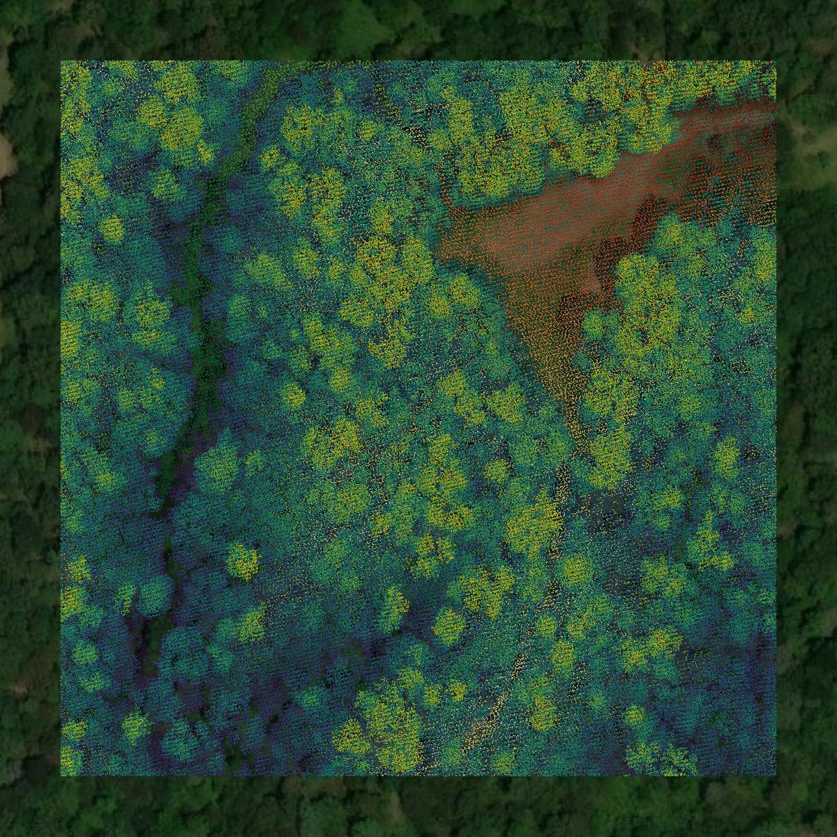 This image shows a LiDAR point cloud in Warren County created using GIS data in Equator.