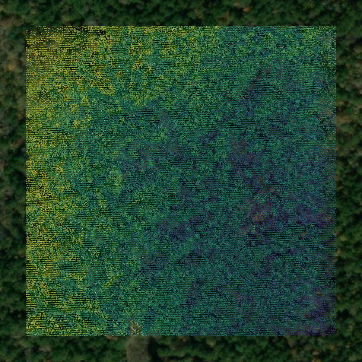 This image shows a LiDAR point cloud in Wayne County created using GIS data in Equator.