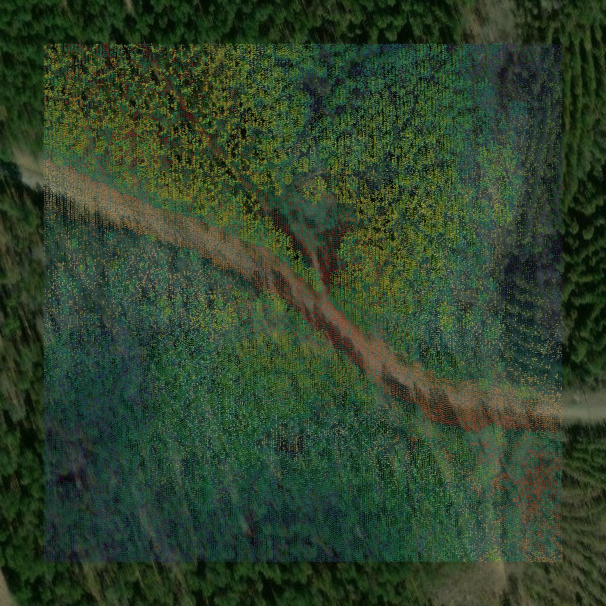 This image shows a LiDAR point cloud in Webster County created using GIS data in Equator.