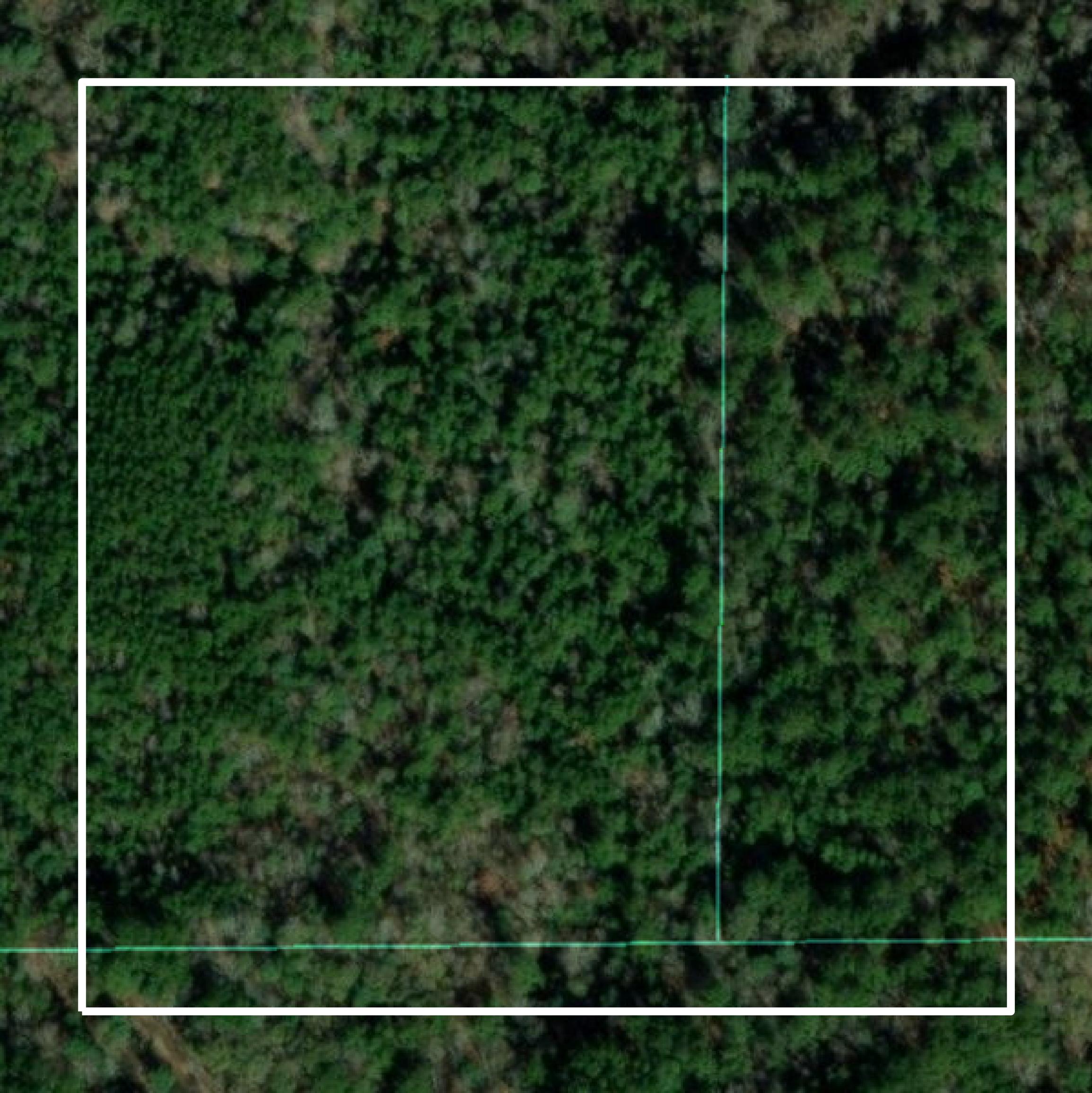 This image shows parcel and building data in Wilkinson County created using GIS data in Equator.
