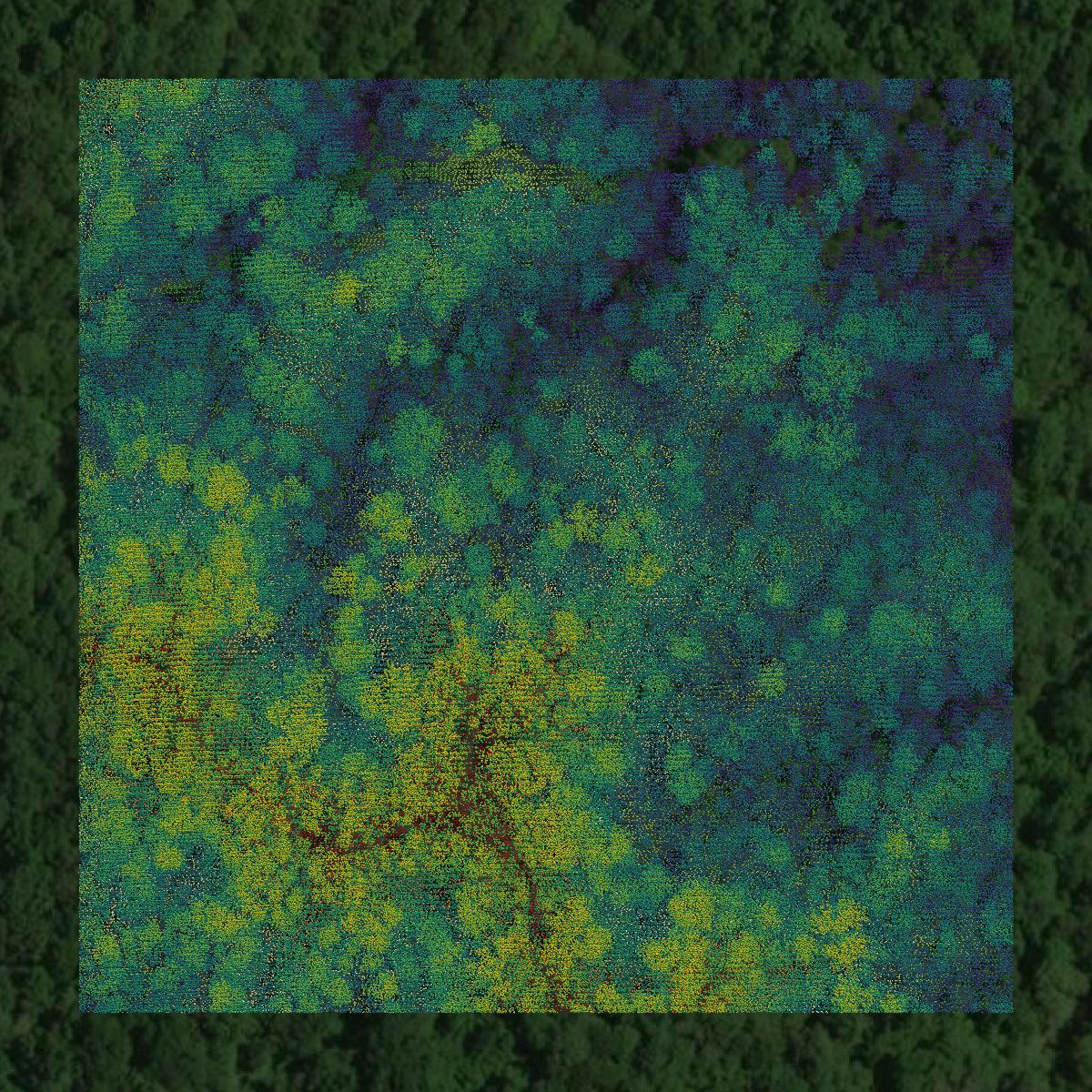 This image shows a LiDAR point cloud in Wilkinson County created using GIS data in Equator.