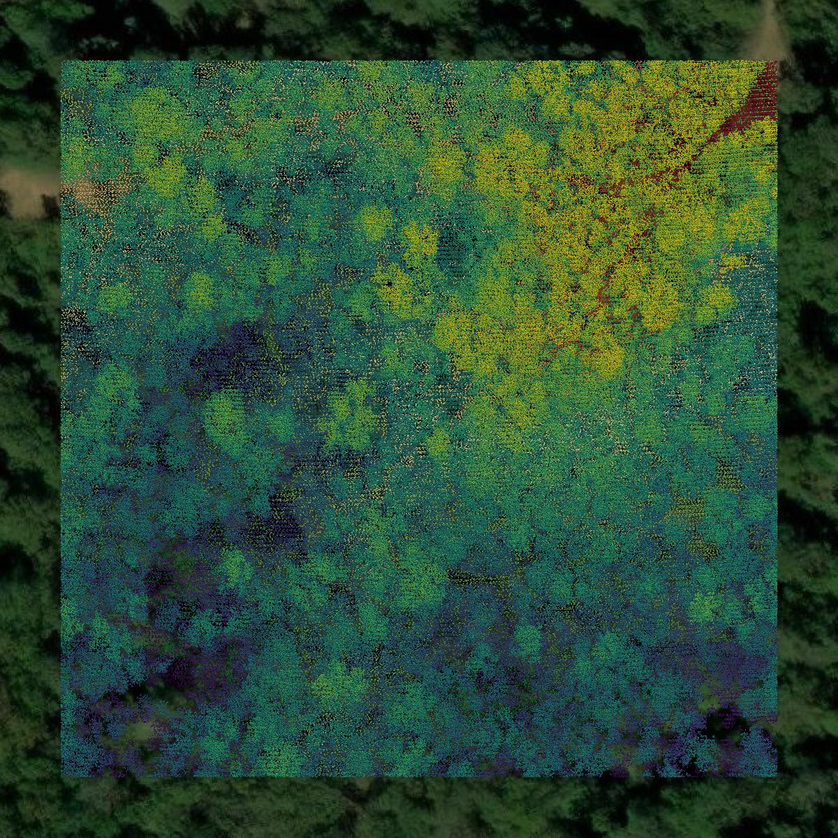 This image shows a LiDAR point cloud in Wilkinson County created using GIS data in Equator.