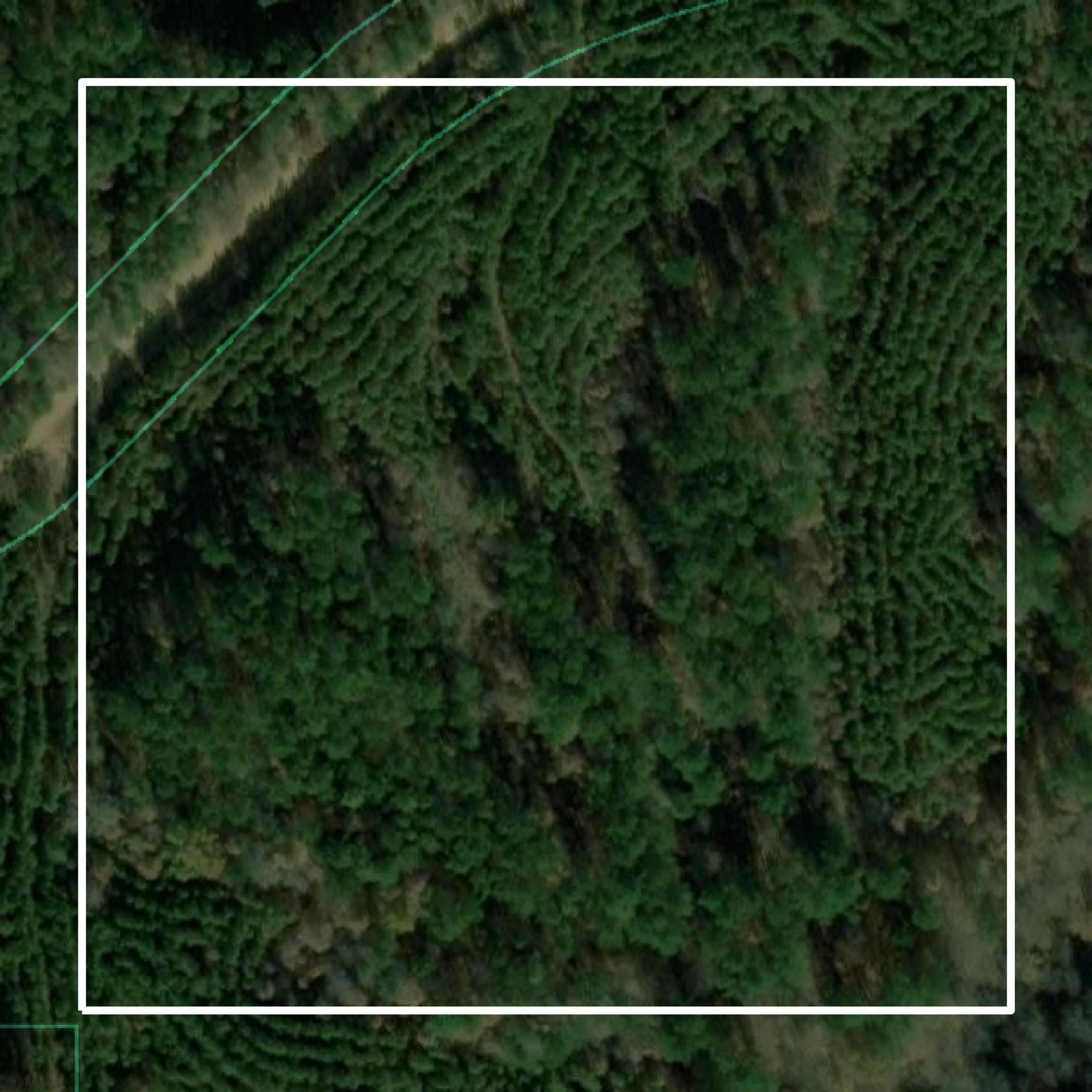 This image shows parcel and building data in Winston County created using GIS data in Equator.