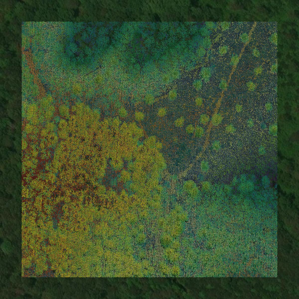 This image shows a LiDAR point cloud in Winston County created using GIS data in Equator.