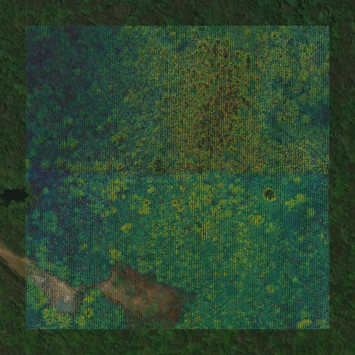 This image shows a LiDAR point cloud in Winston County created using GIS data in Equator.