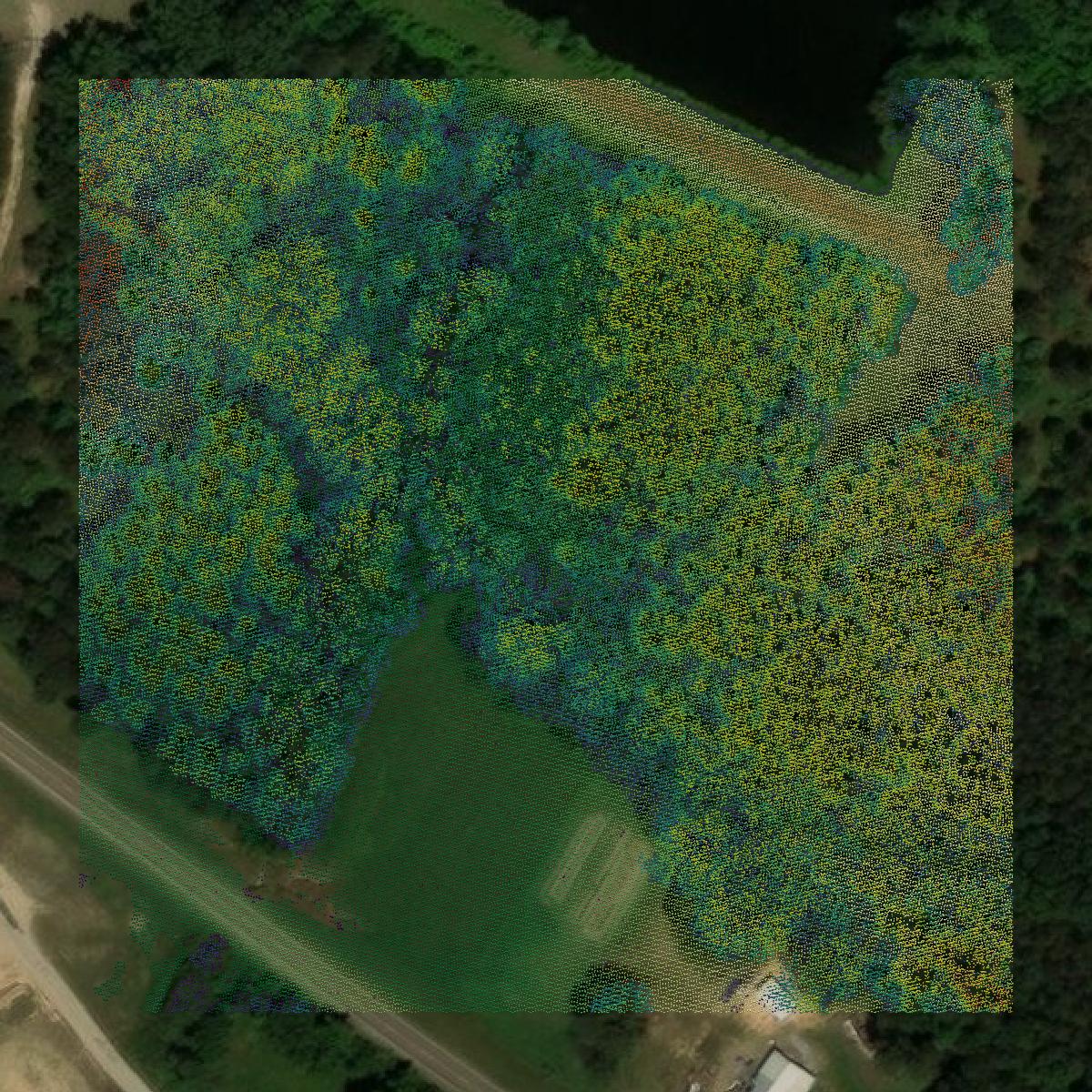 This image shows a LiDAR point cloud in Yalobusha County created using GIS data in Equator.