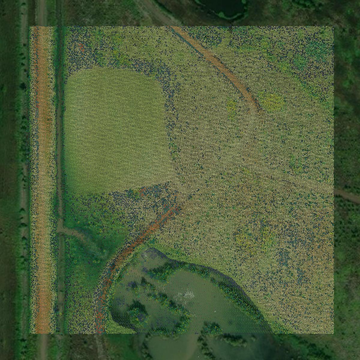 This image shows a LiDAR point cloud in Yazoo County created using GIS data in Equator.