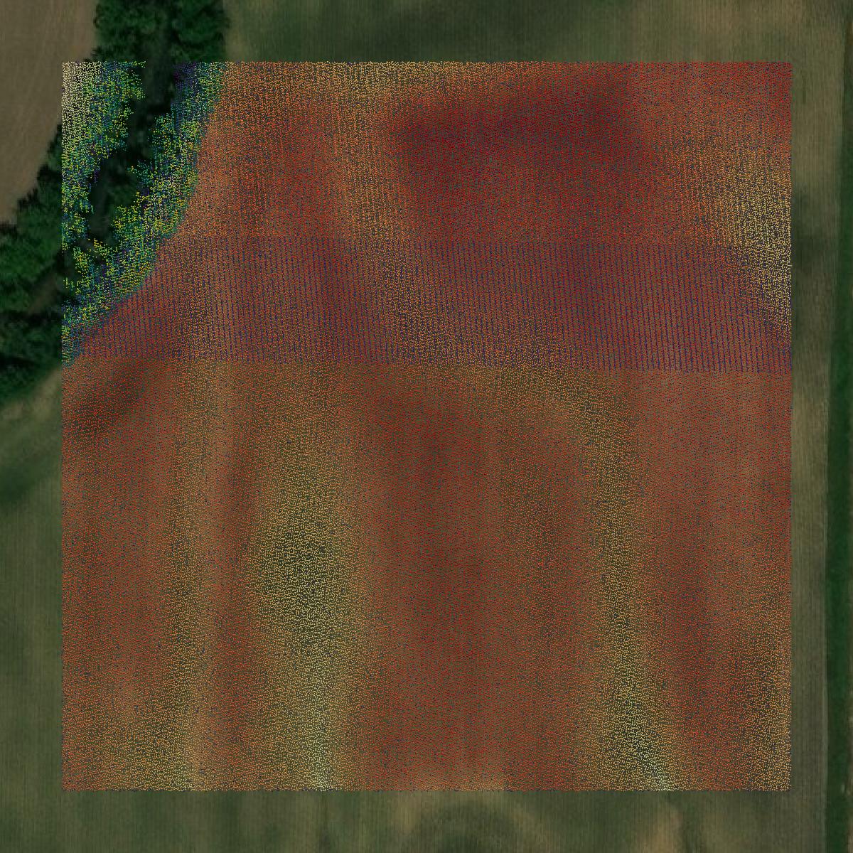 This image shows a LiDAR point cloud in Adair County created using GIS data in Equator.