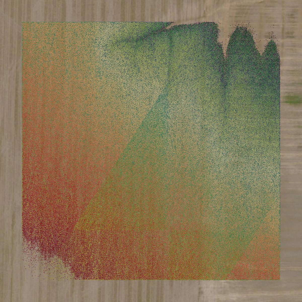 This image shows a LiDAR point cloud in Audrain County created using GIS data in Equator.