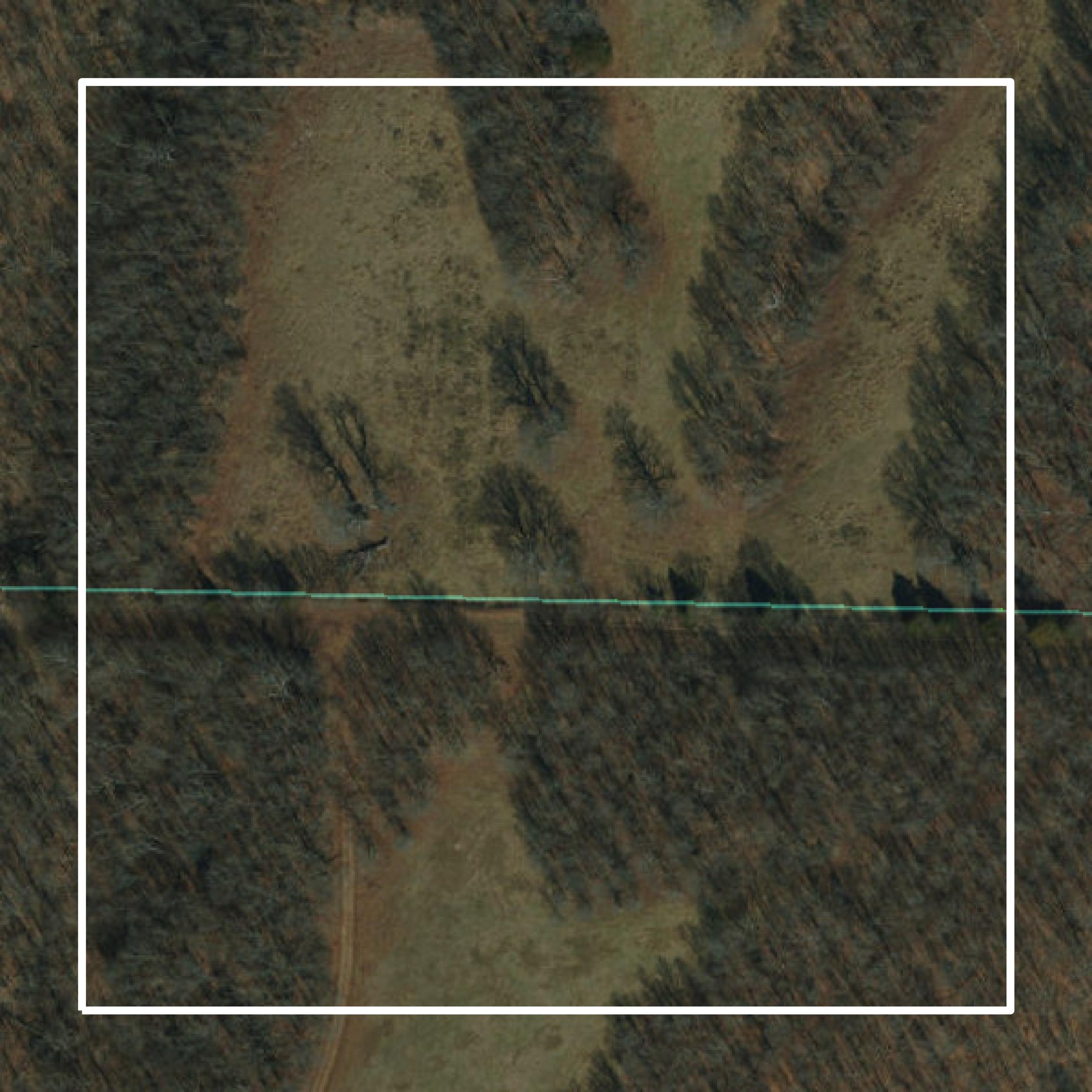 This image shows parcel and building data in Barry County created using GIS data in Equator.