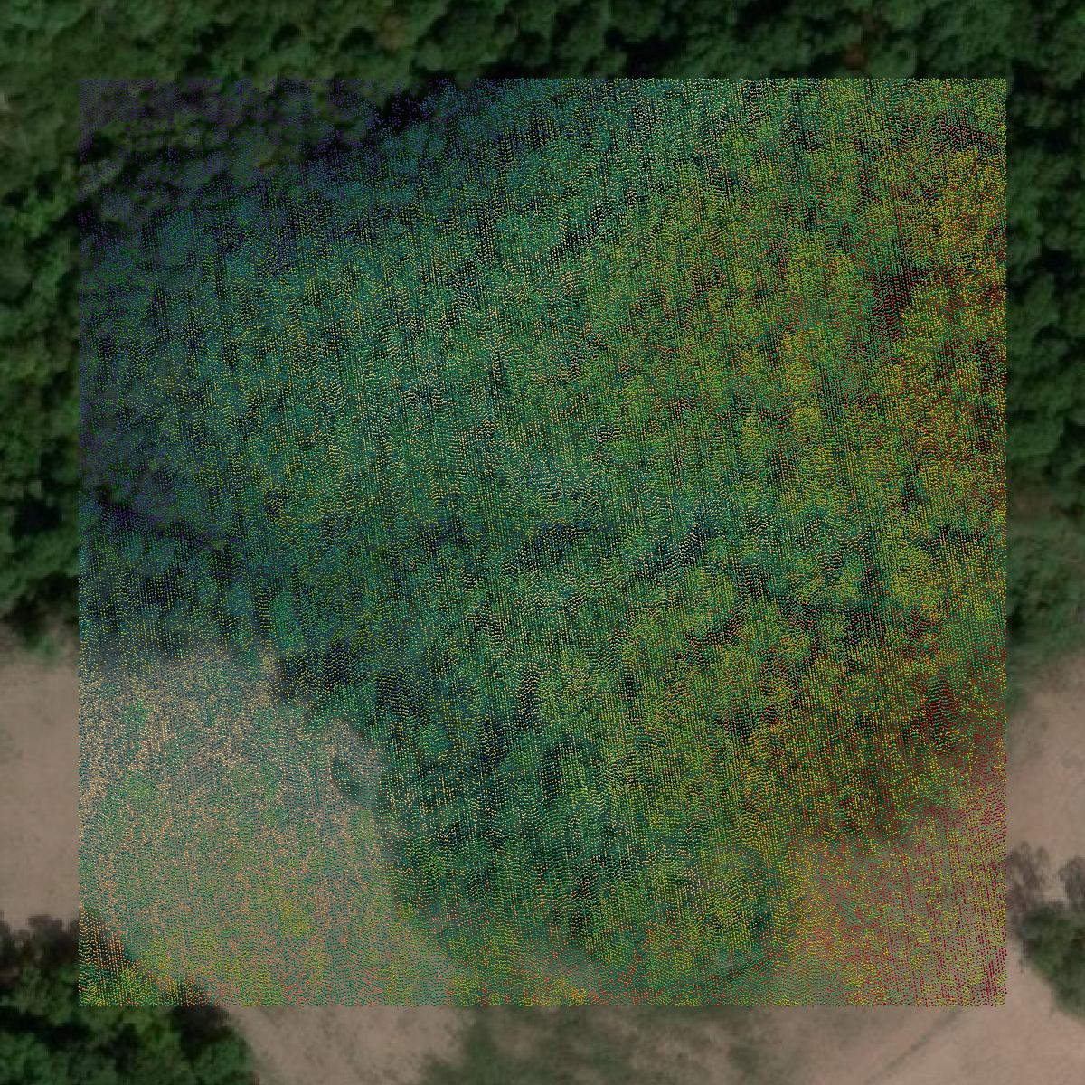 This image shows a LiDAR point cloud in Barry County created using GIS data in Equator.