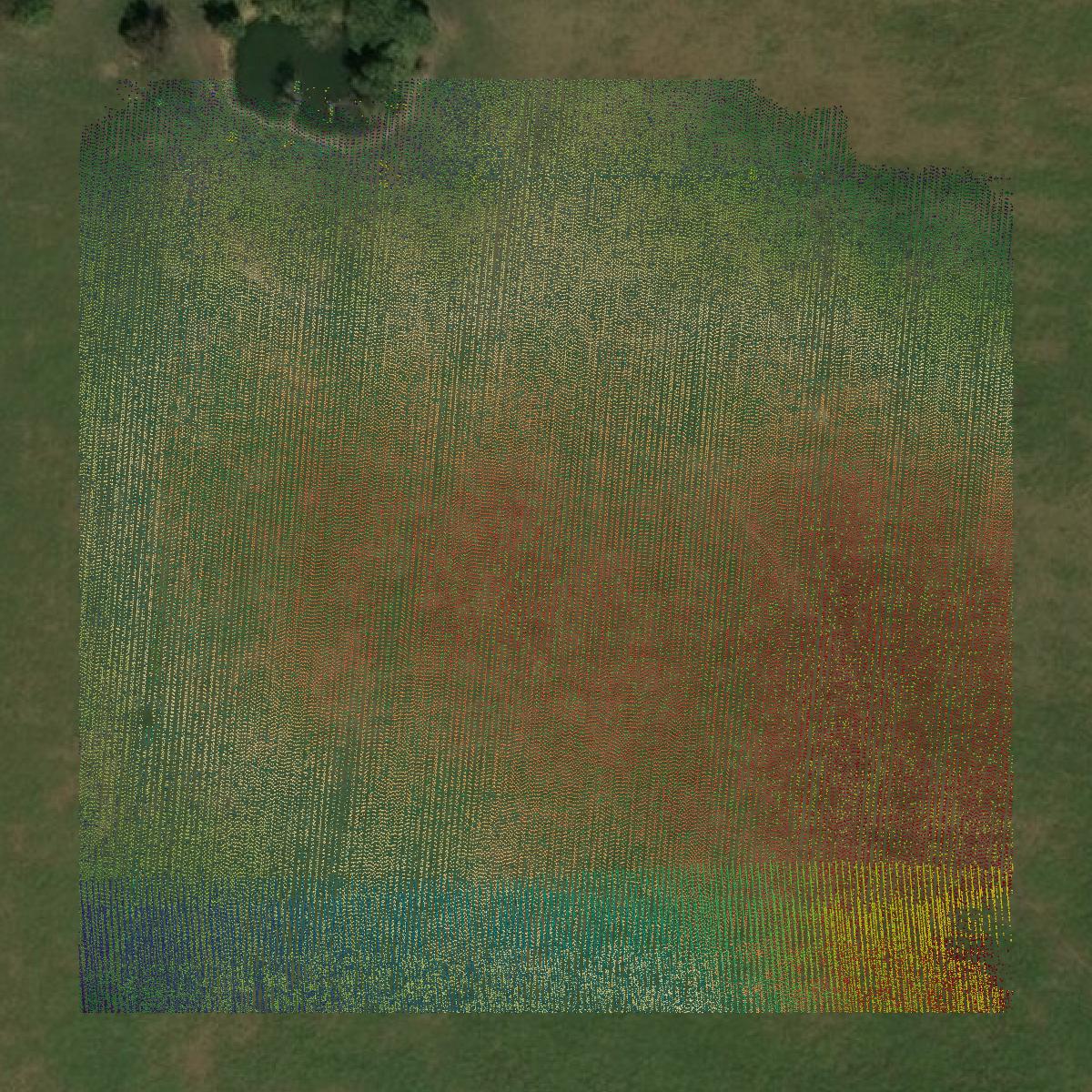 This image shows a LiDAR point cloud in Barry County created using GIS data in Equator.