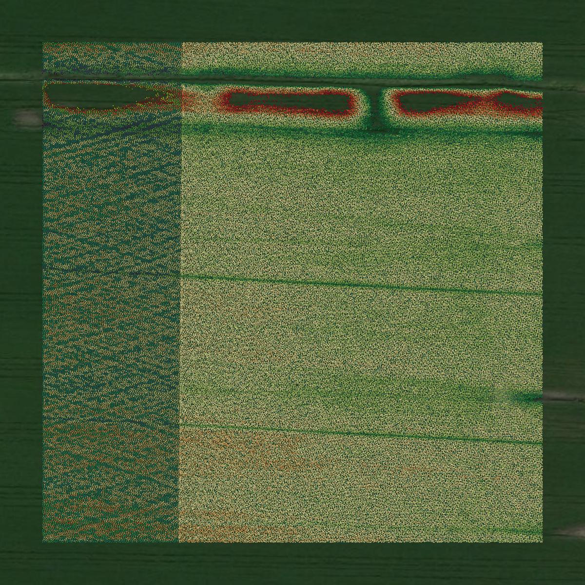 This image shows a LiDAR point cloud in Bates County created using GIS data in Equator.