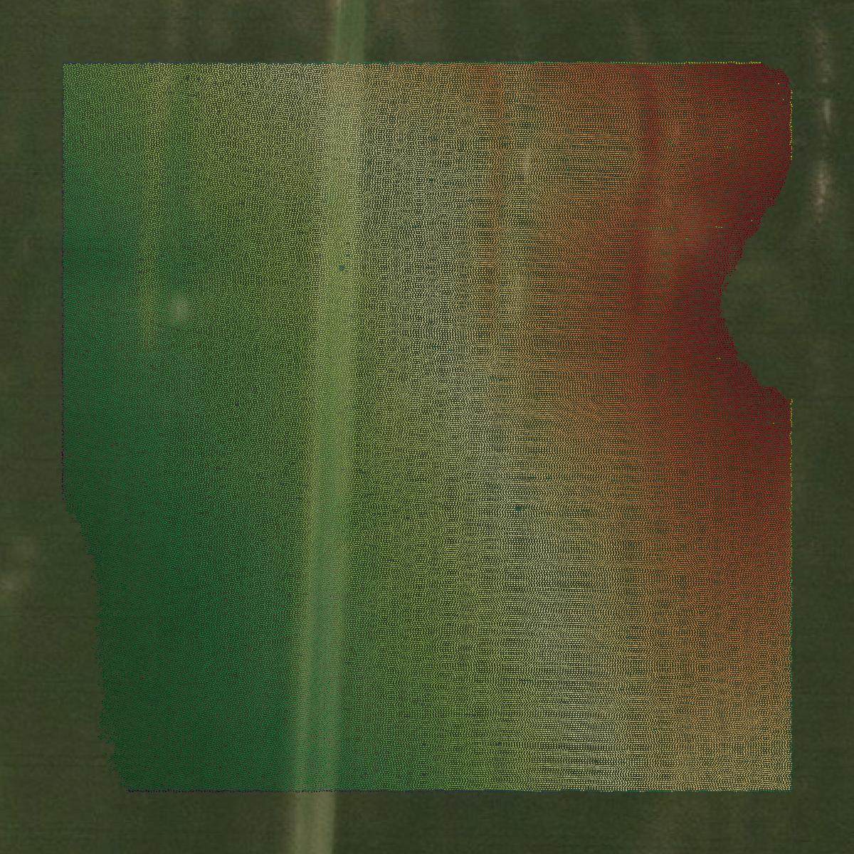 This image shows a LiDAR point cloud in Benton County created using GIS data in Equator.