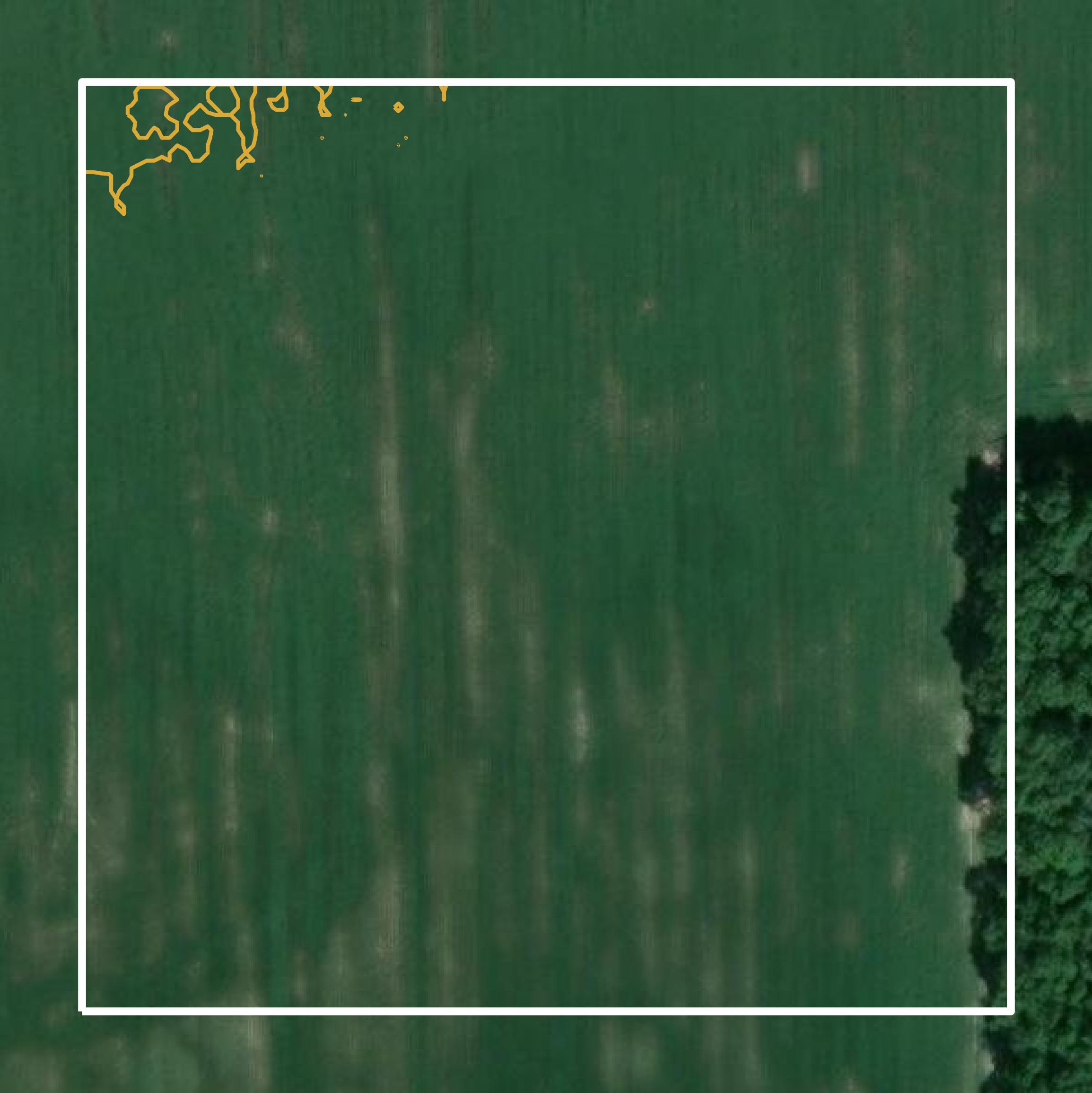 This image shows a contour map in Bollinger County created using GIS data in Equator.