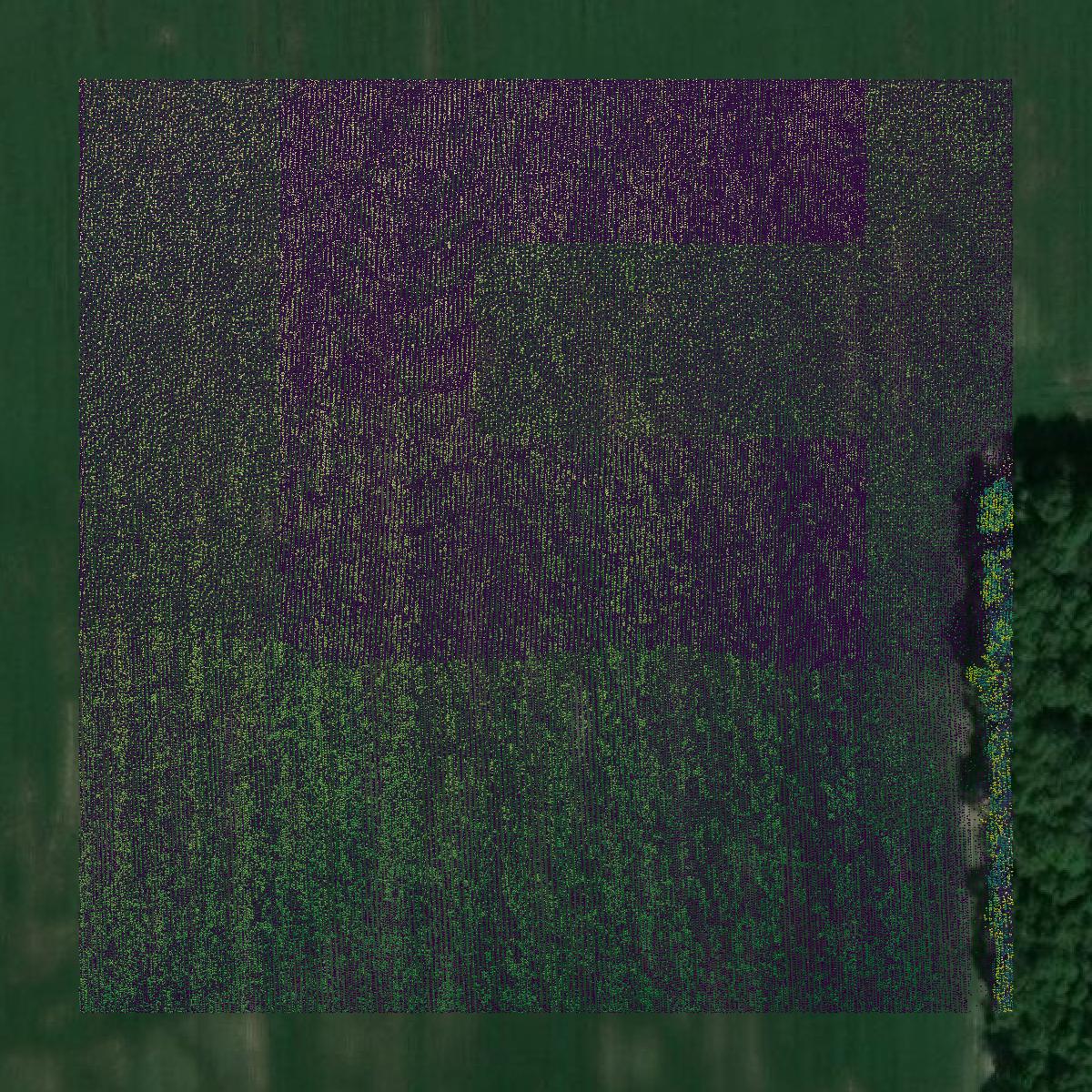 This image shows a LiDAR point cloud in Bollinger County created using GIS data in Equator.
