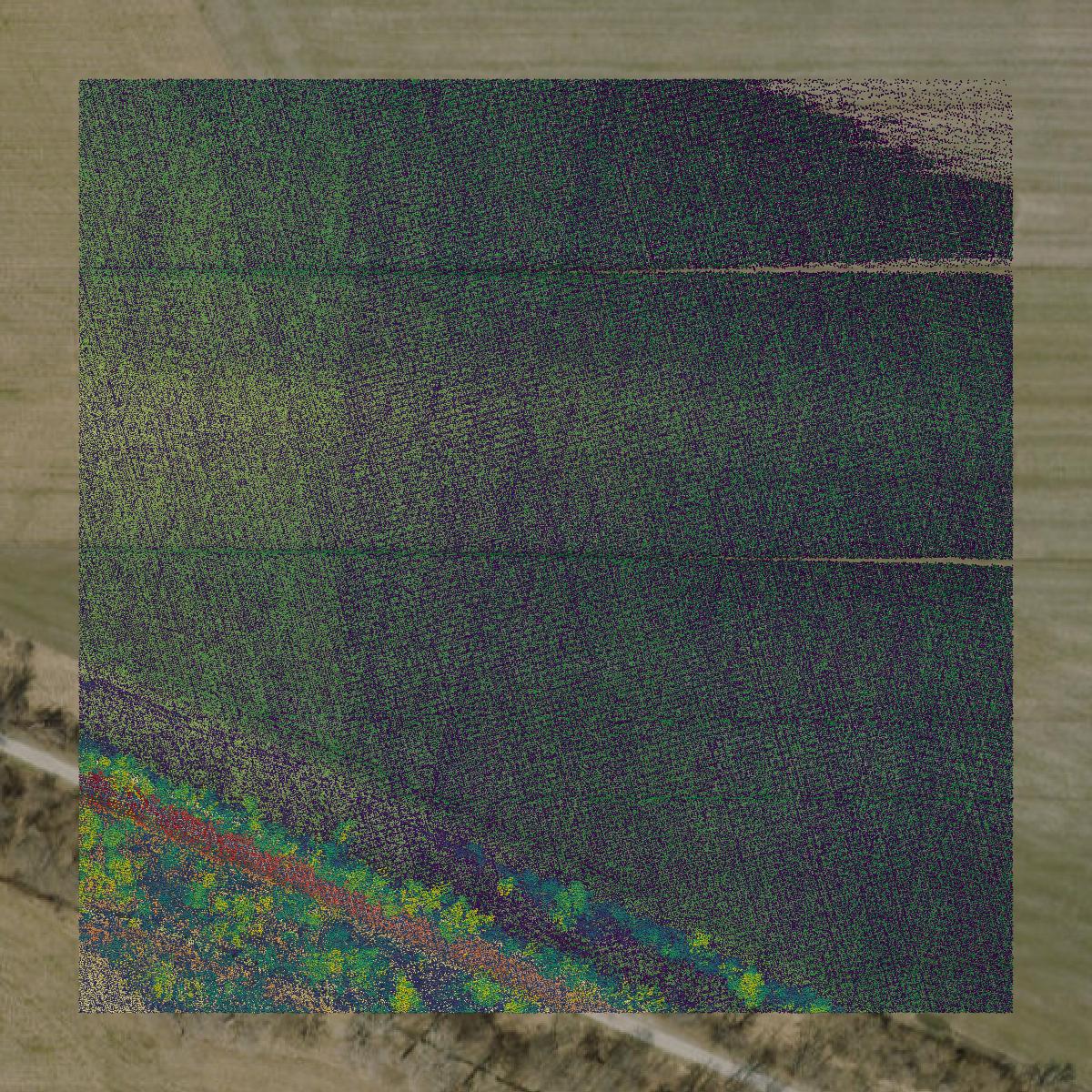 This image shows a LiDAR point cloud in Buchanan County created using GIS data in Equator.