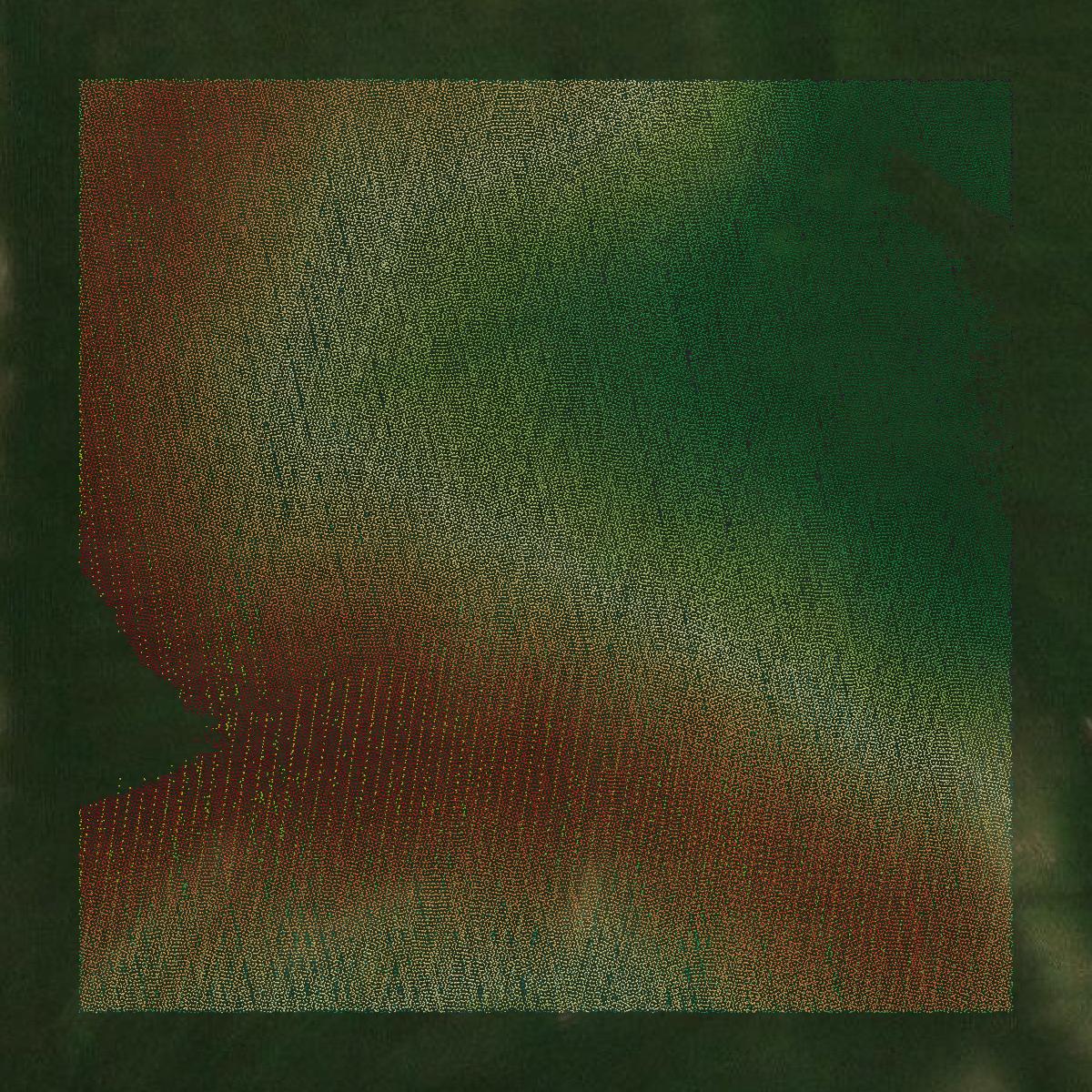 This image shows a LiDAR point cloud in Caldwell County created using GIS data in Equator.