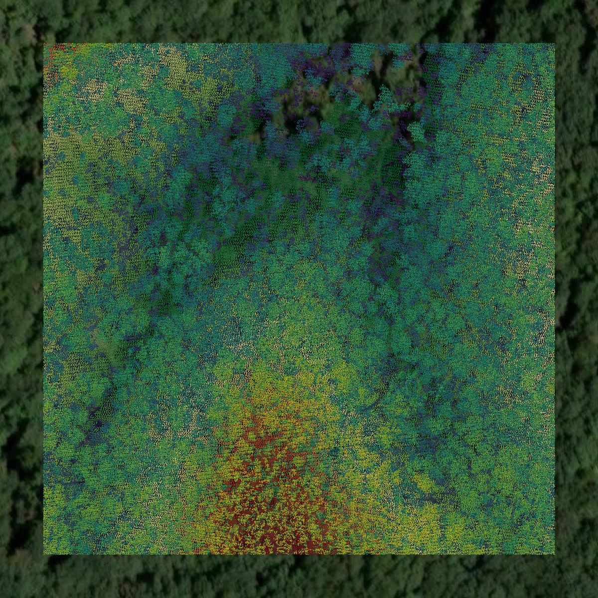 This image shows a LiDAR point cloud in Camden County created using GIS data in Equator.