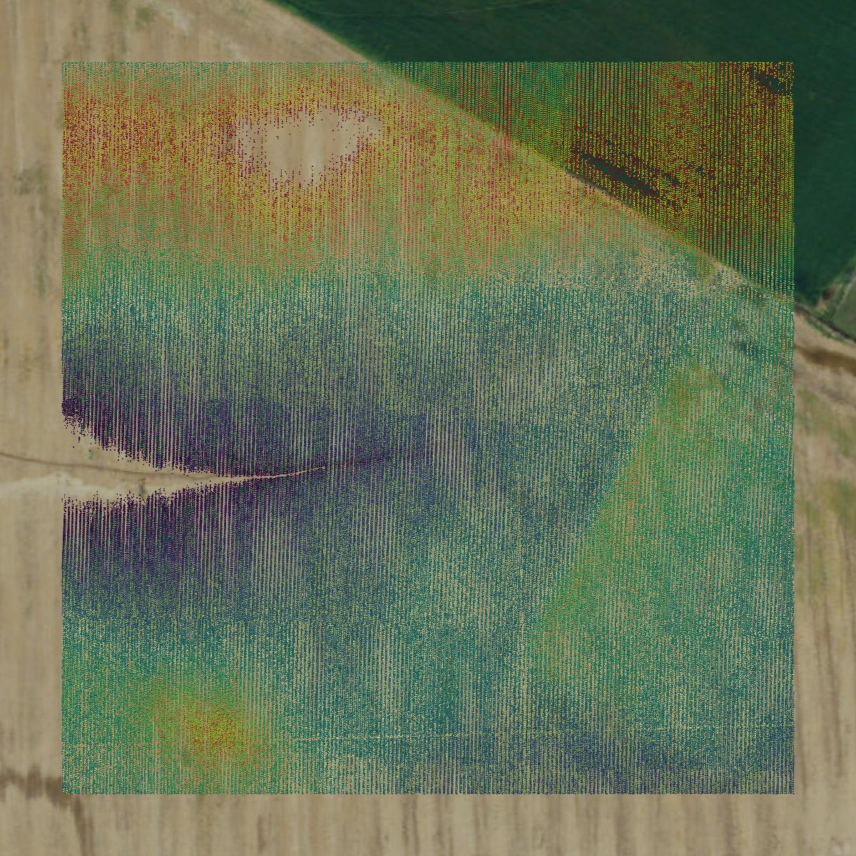 This image shows a LiDAR point cloud in Cape Girardeau County created using GIS data in Equator.