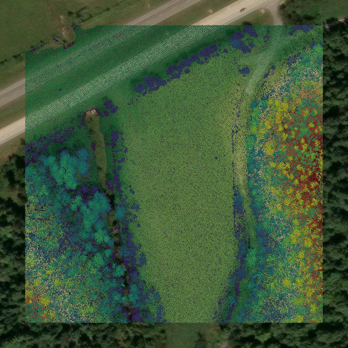 This image shows a LiDAR point cloud in Carter County created using GIS data in Equator.