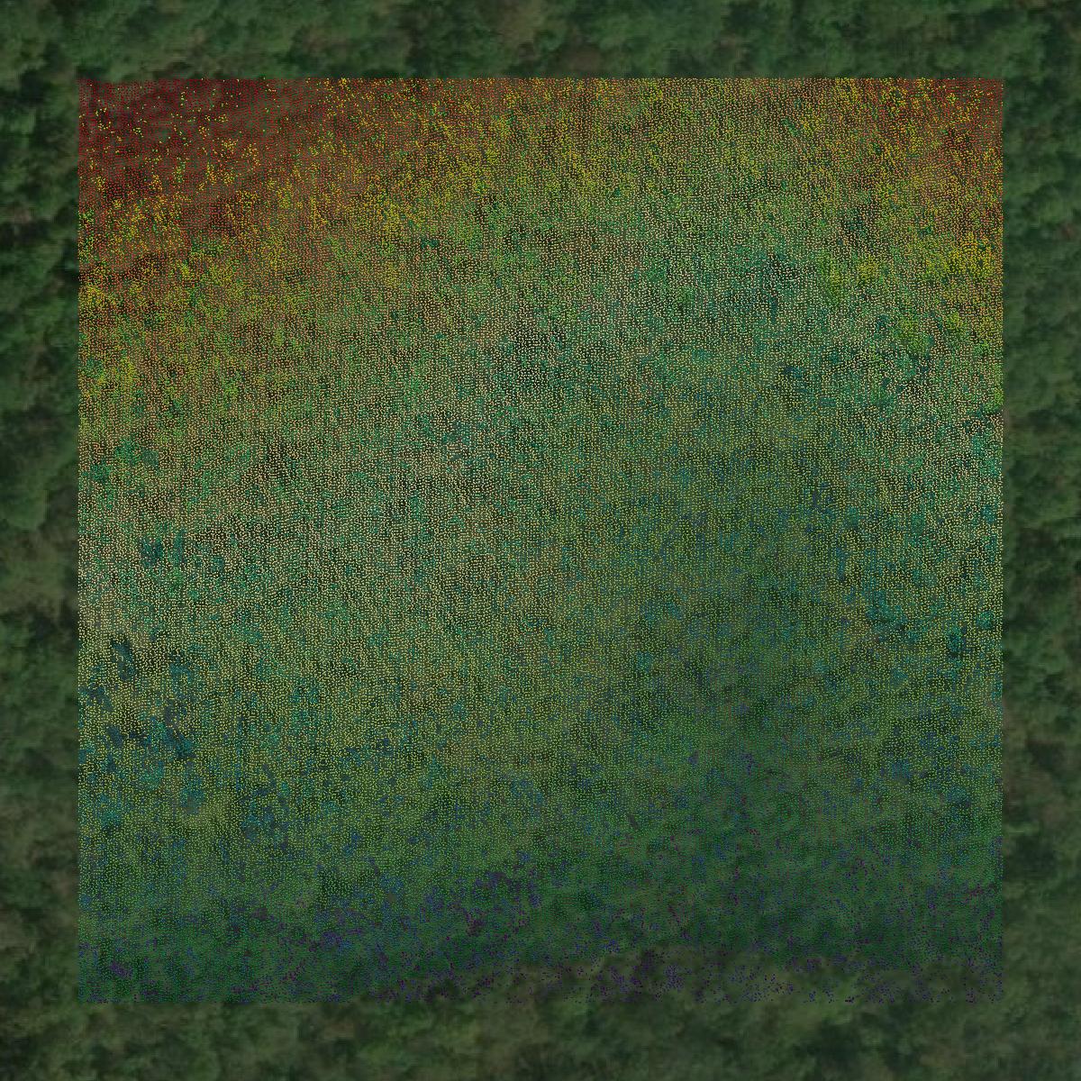 This image shows a LiDAR point cloud in Carter County created using GIS data in Equator.