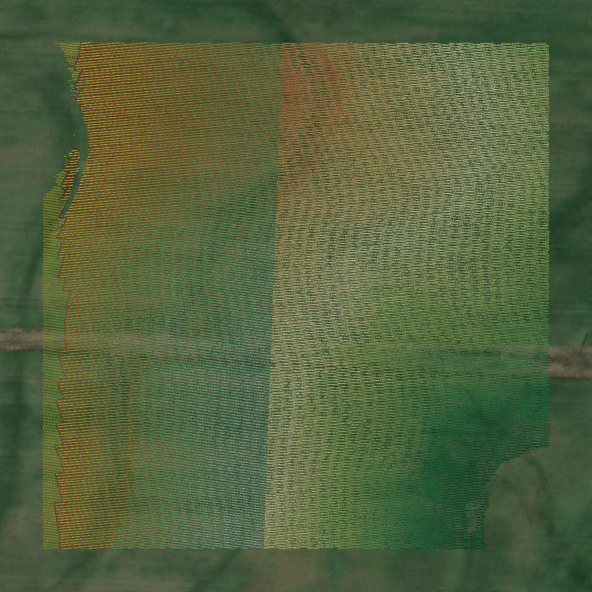 This image shows a LiDAR point cloud in Cass County created using GIS data in Equator.