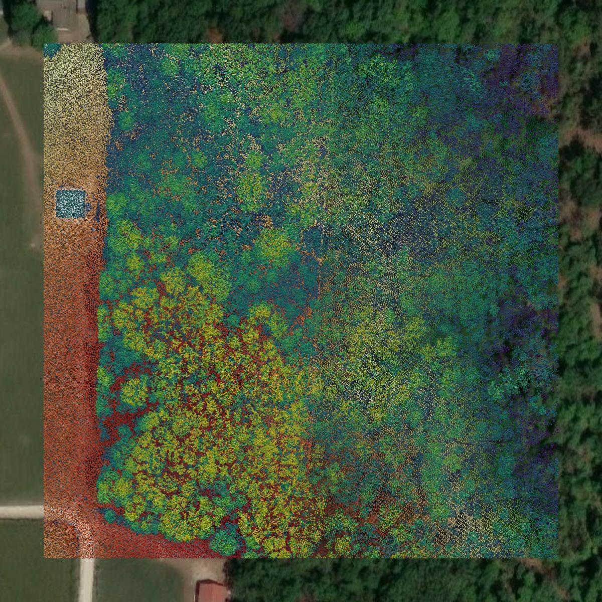 This image shows a LiDAR point cloud in Cedar County created using GIS data in Equator.