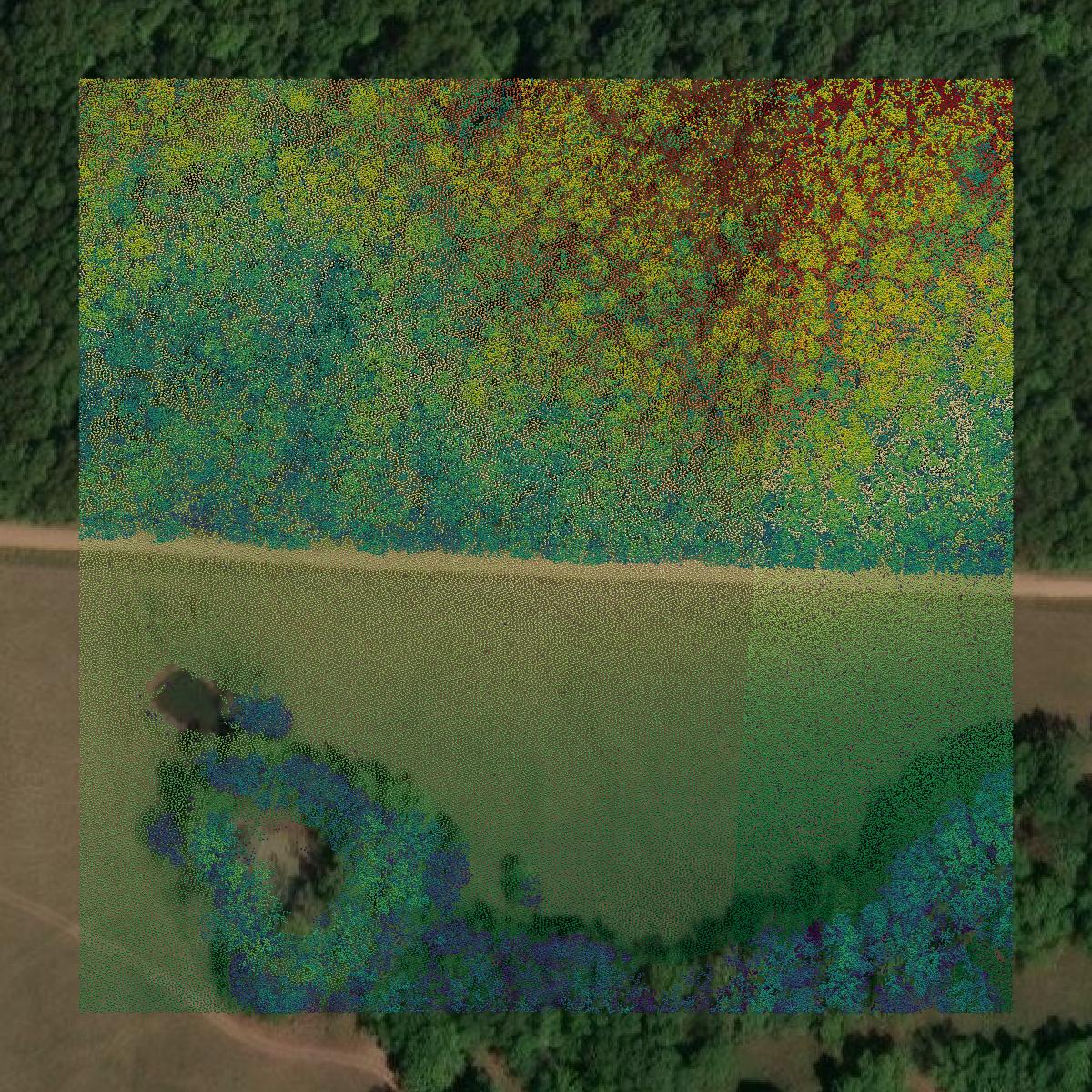 This image shows a LiDAR point cloud in Cedar County created using GIS data in Equator.