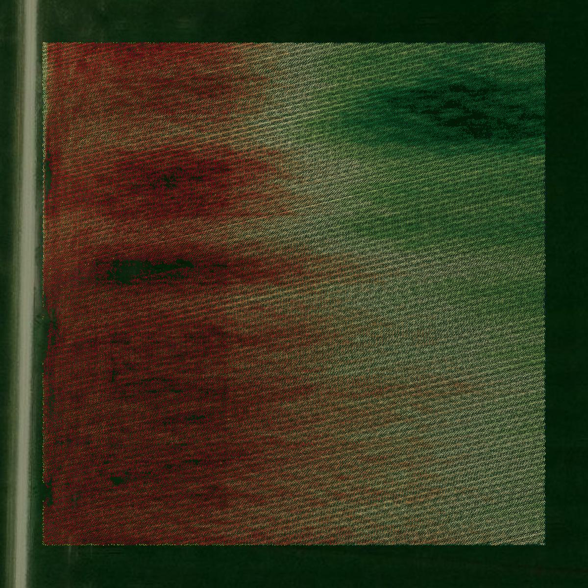 This image shows a LiDAR point cloud in Chariton County created using GIS data in Equator.