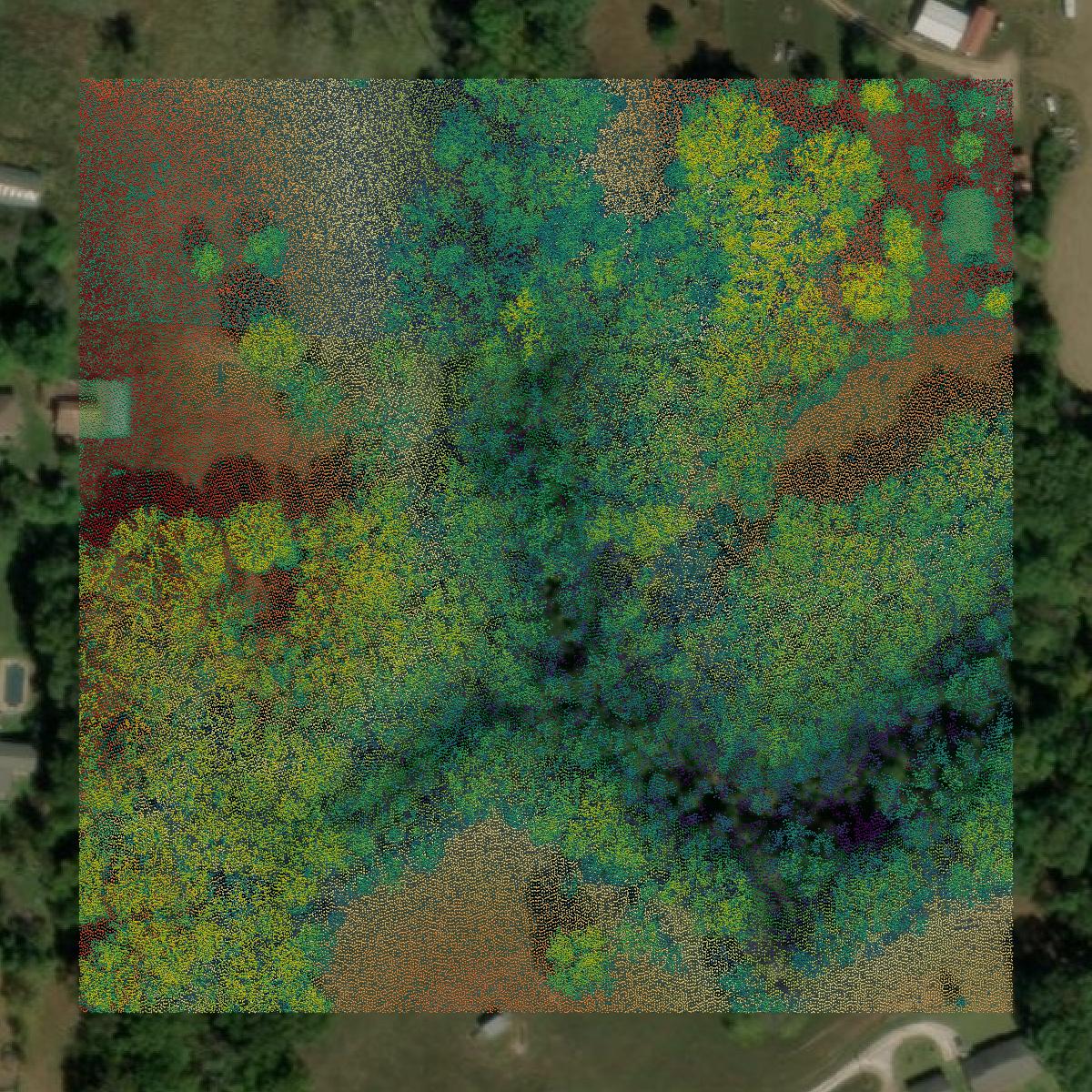 This image shows a LiDAR point cloud in Christian County created using GIS data in Equator.