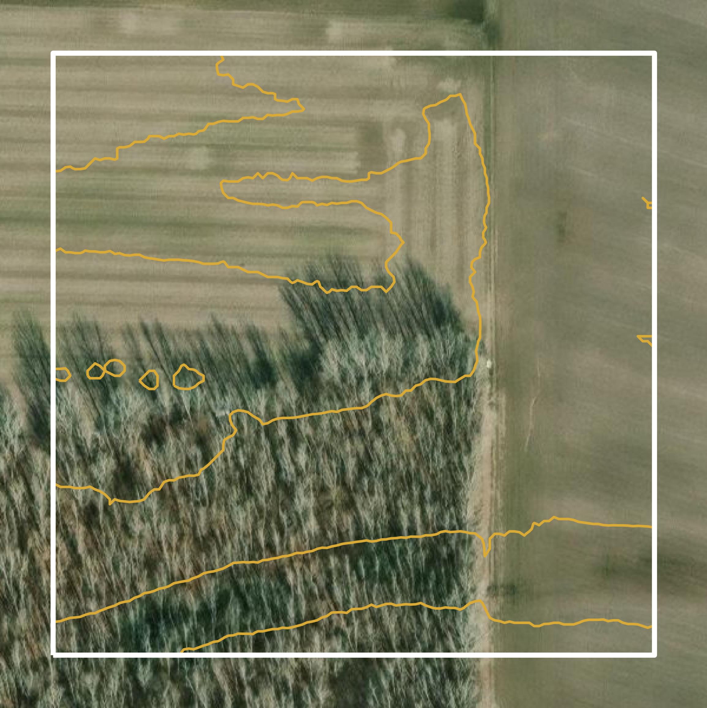 This image shows a contour map in Clay County created using GIS data in Equator.