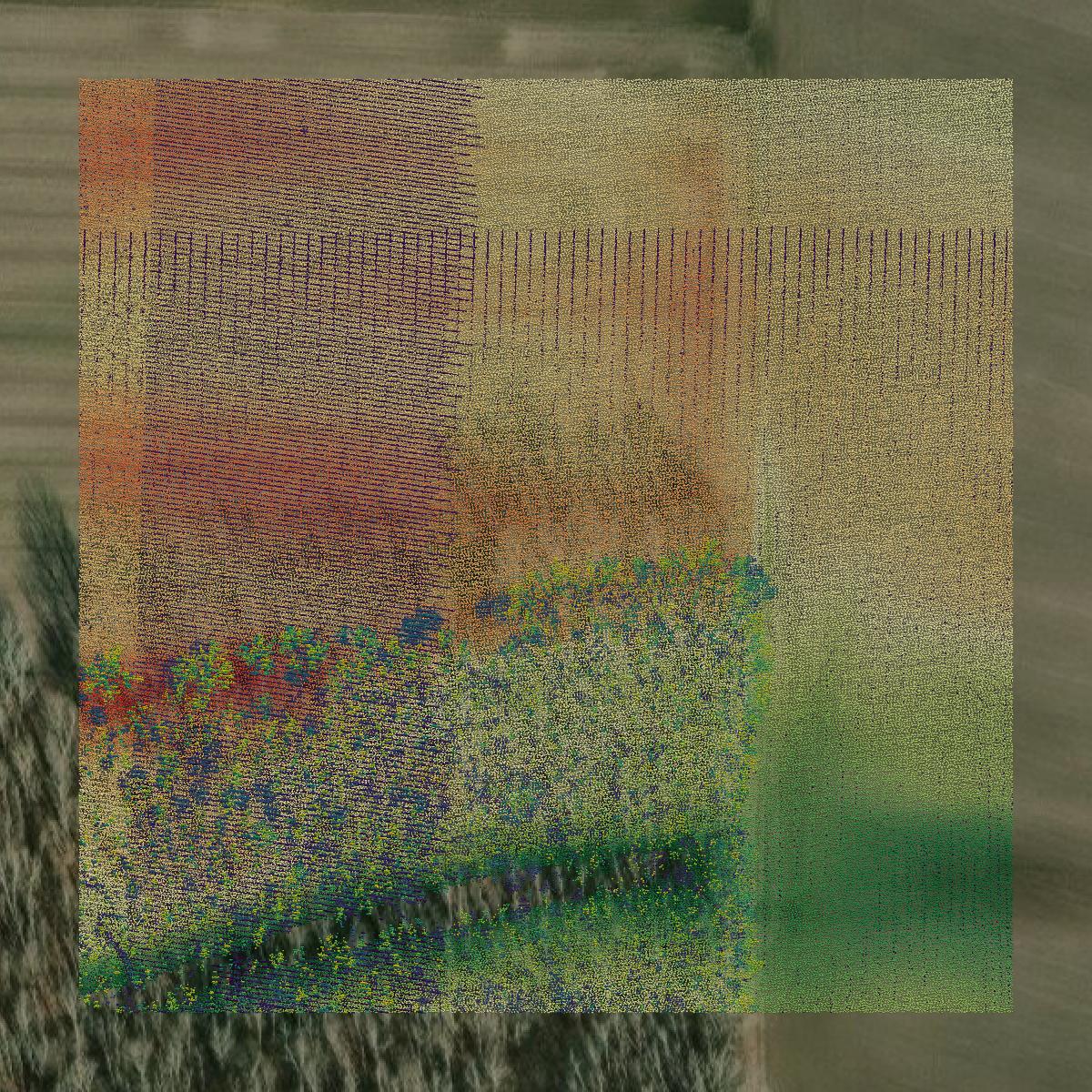 This image shows a LiDAR point cloud in Clay County created using GIS data in Equator.