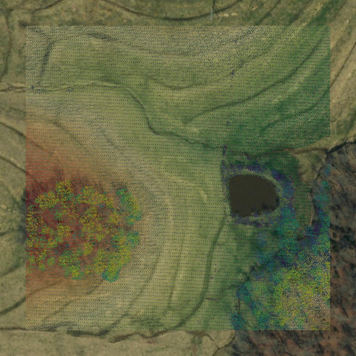 This image shows a LiDAR point cloud in Cole County created using GIS data in Equator.
