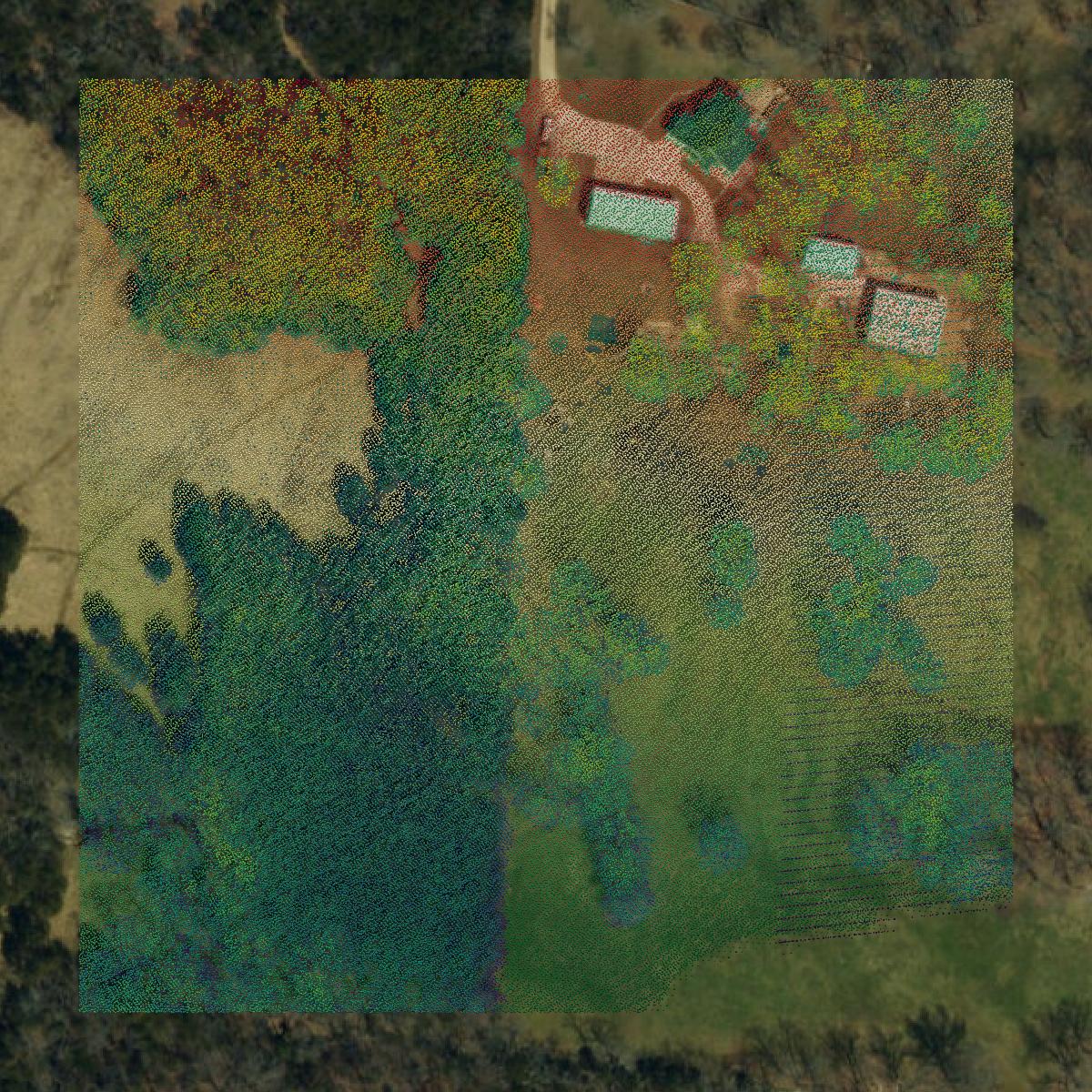 This image shows a LiDAR point cloud in Cole County created using GIS data in Equator.