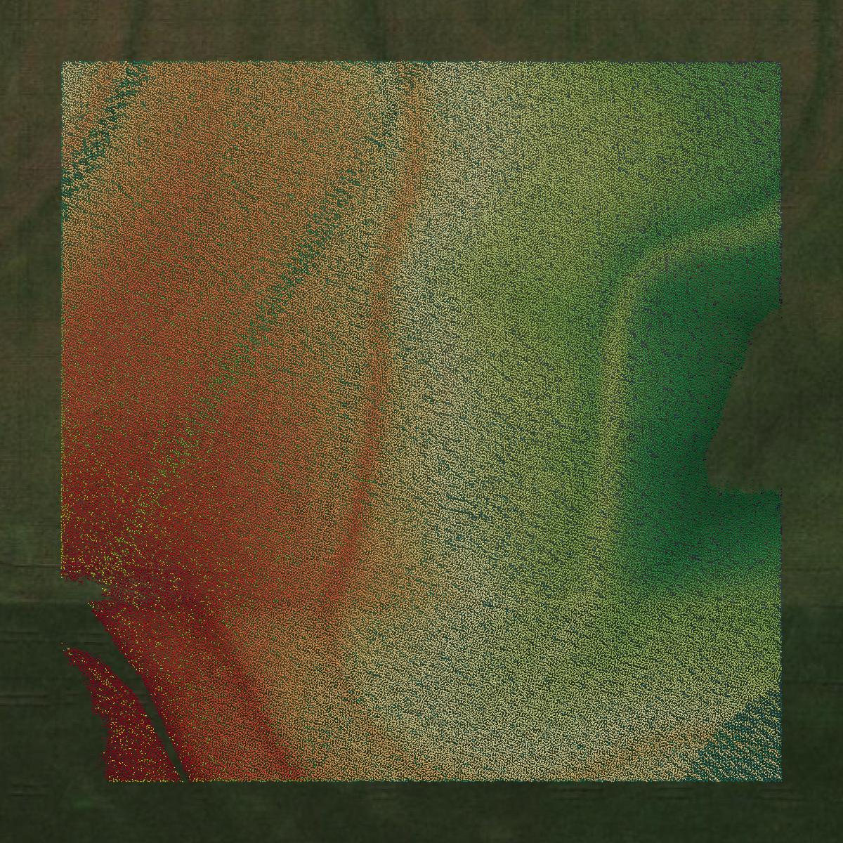 This image shows a LiDAR point cloud in Cooper County created using GIS data in Equator.