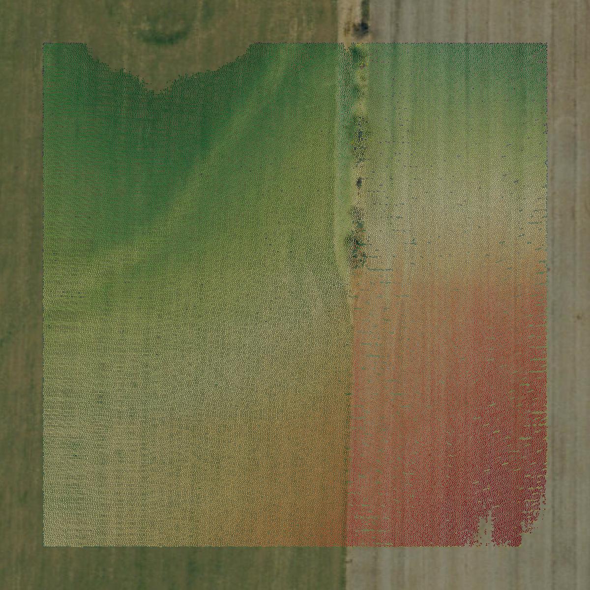 This image shows a LiDAR point cloud in Dade County created using GIS data in Equator.