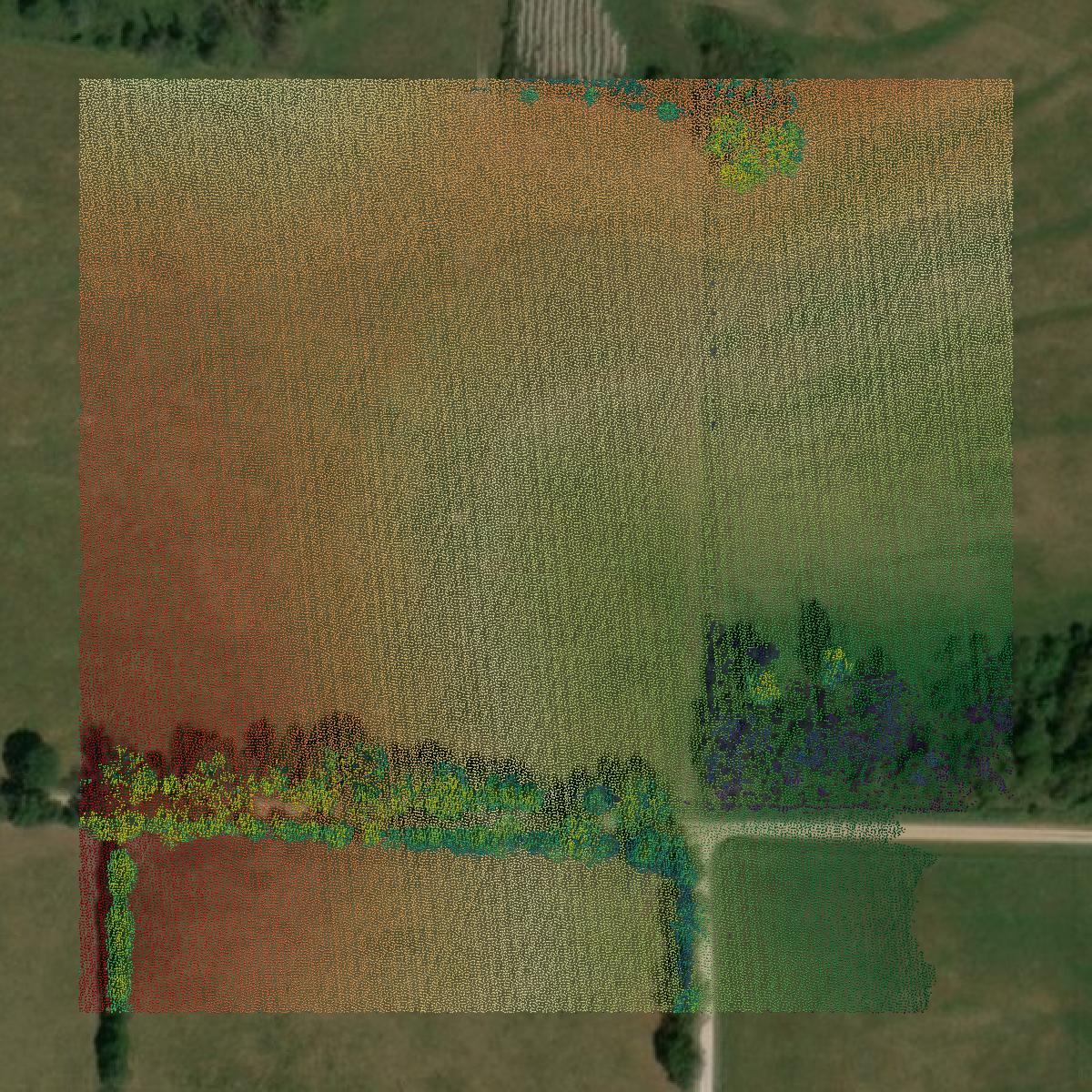 This image shows a LiDAR point cloud in Dallas County created using GIS data in Equator.