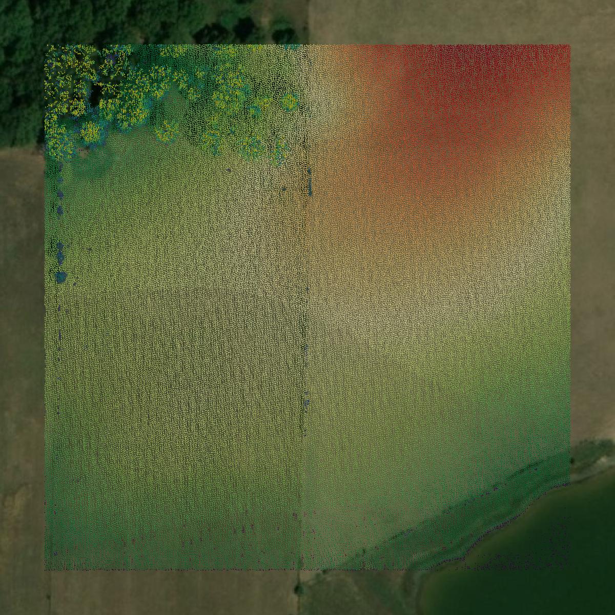 This image shows a LiDAR point cloud in Dallas County created using GIS data in Equator.