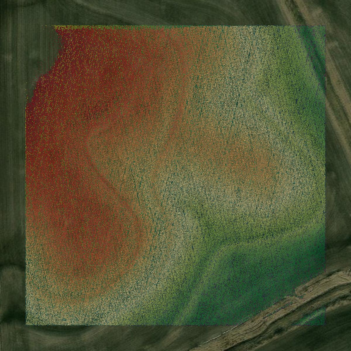 This image shows a LiDAR point cloud in DeKalb County created using GIS data in Equator.