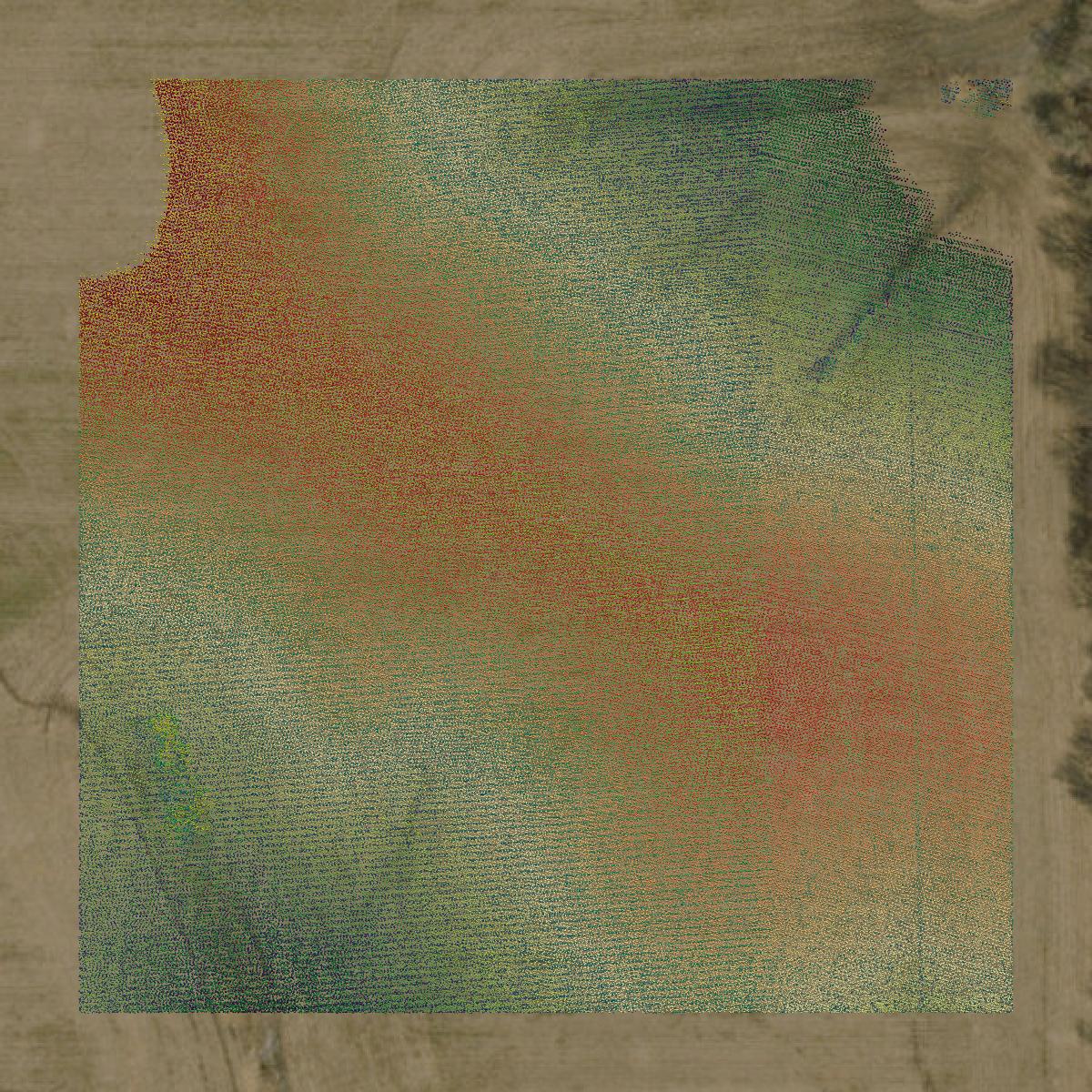 This image shows a LiDAR point cloud in DeKalb County created using GIS data in Equator.