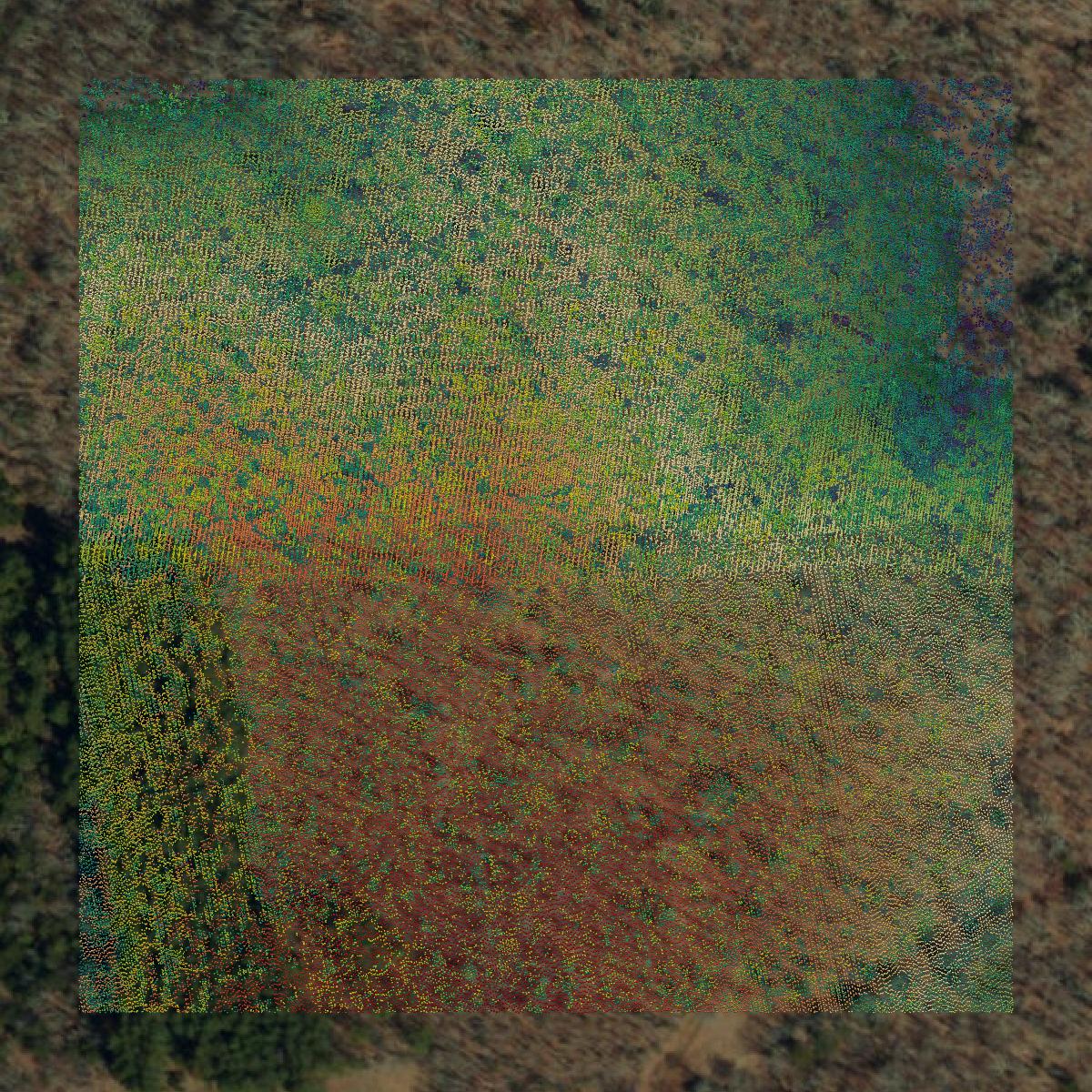 This image shows a LiDAR point cloud in Dent County created using GIS data in Equator.