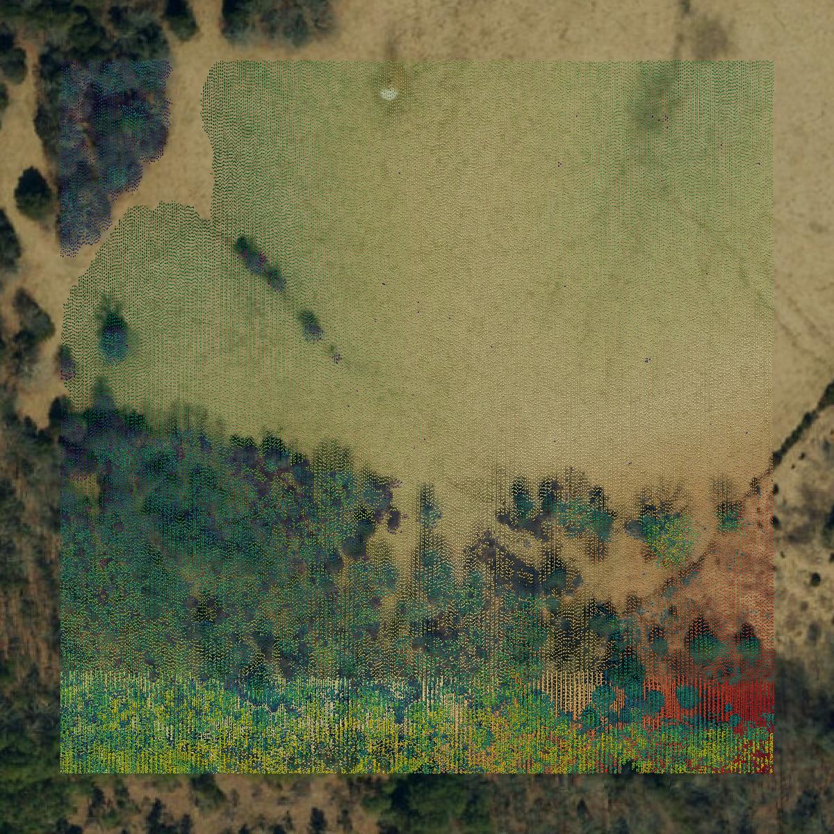 This image shows a LiDAR point cloud in Dent County created using GIS data in Equator.