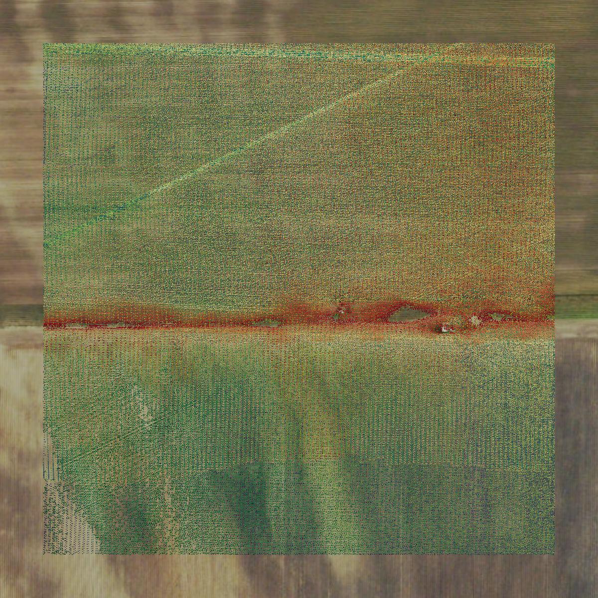 This image shows a LiDAR point cloud in Dunklin County created using GIS data in Equator.
